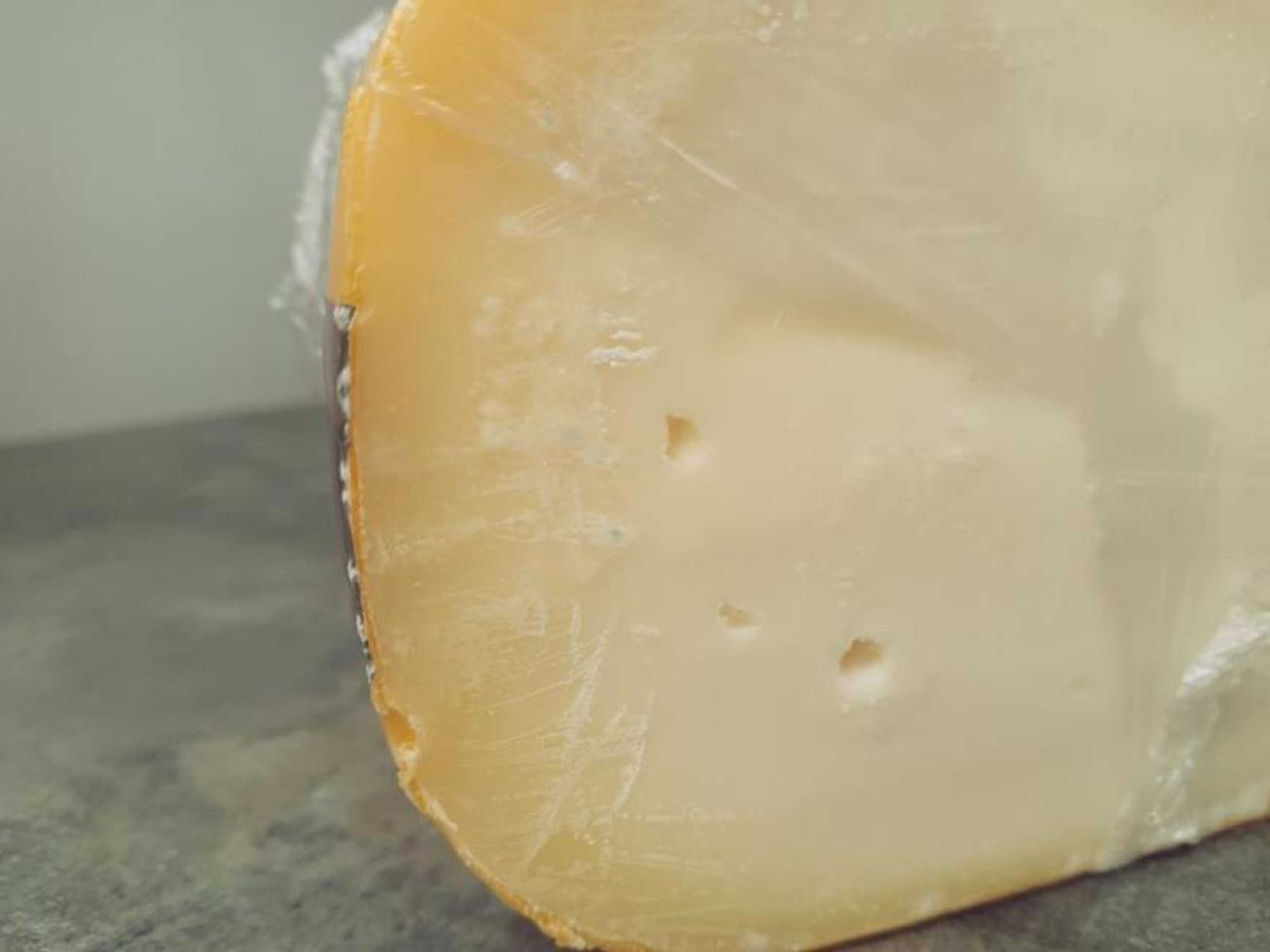 Závadný sýr Cheese Pittoresque Garlic - Závadné potraviny odhalené SZPI (2/6)