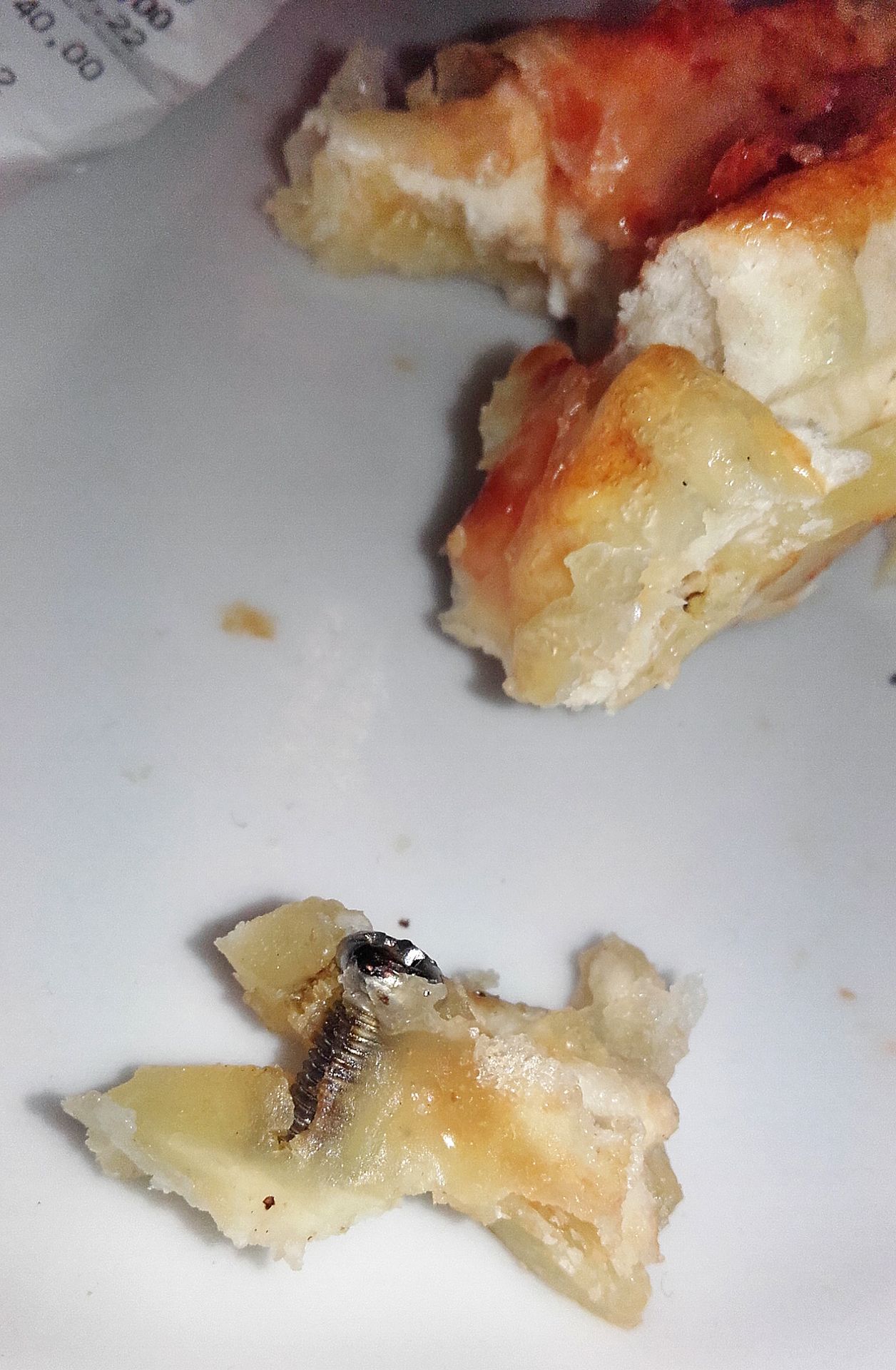 Šroubek v rohlíku - 1 - GALERIE: Šroubek v pizza rohlíku (1/6)