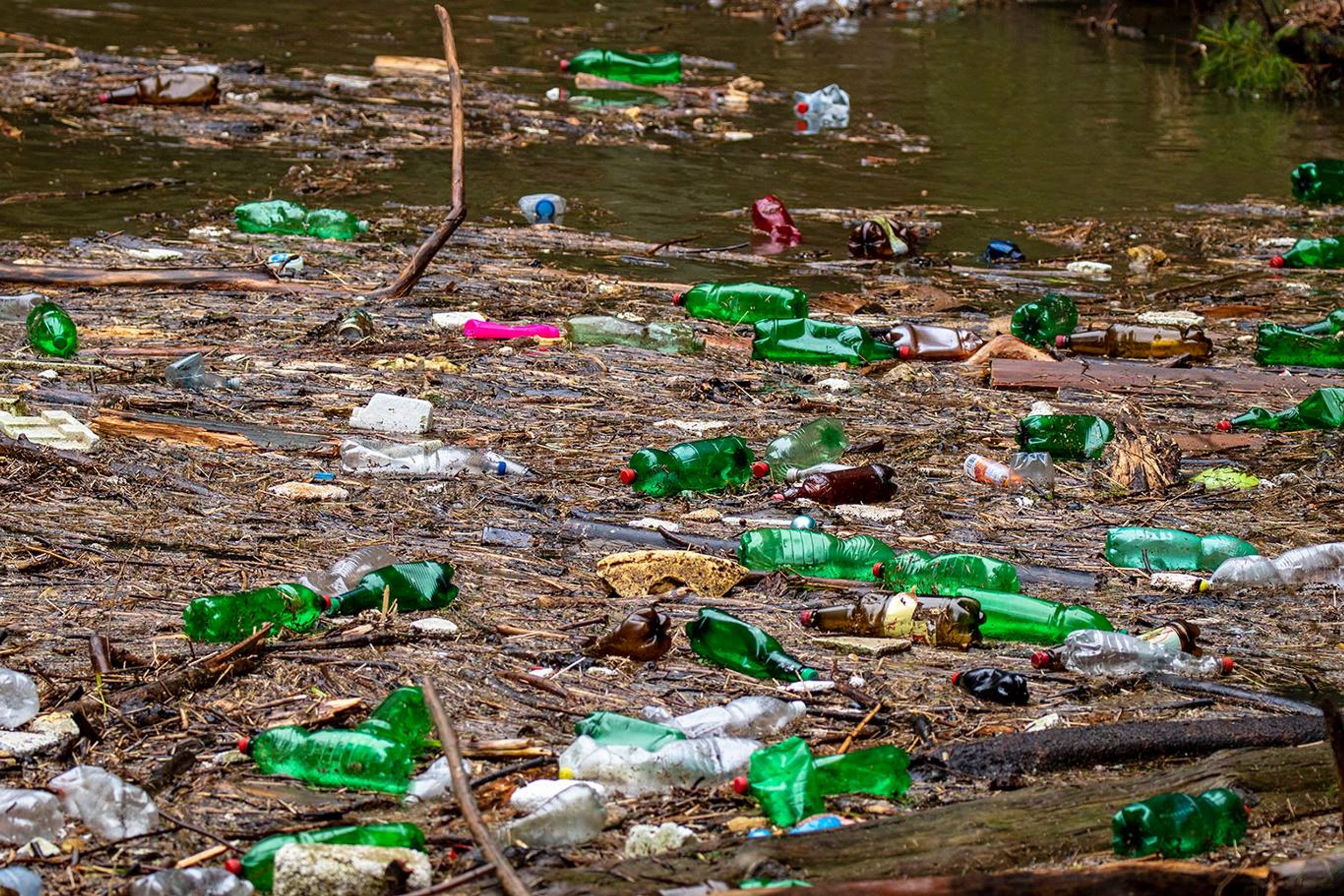 Plasty v NP České Švýcarsko - GALERIE: Záplava plastů v Národním parku České Švýcarsko (2/8)