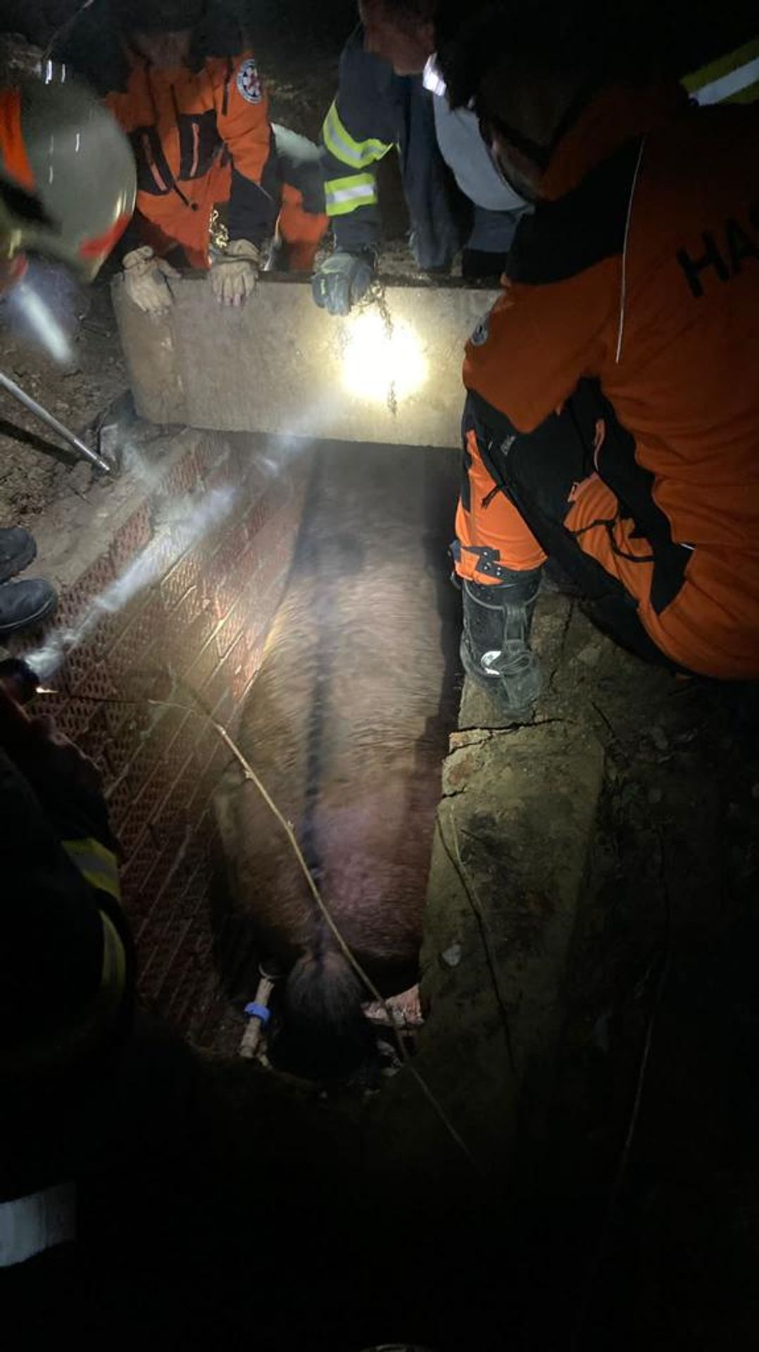 Záchrana koně z betonového koryta šachty v Hudcově (3) - Záchrana koně z betonového koryta šachty v Hudcově (1/4)