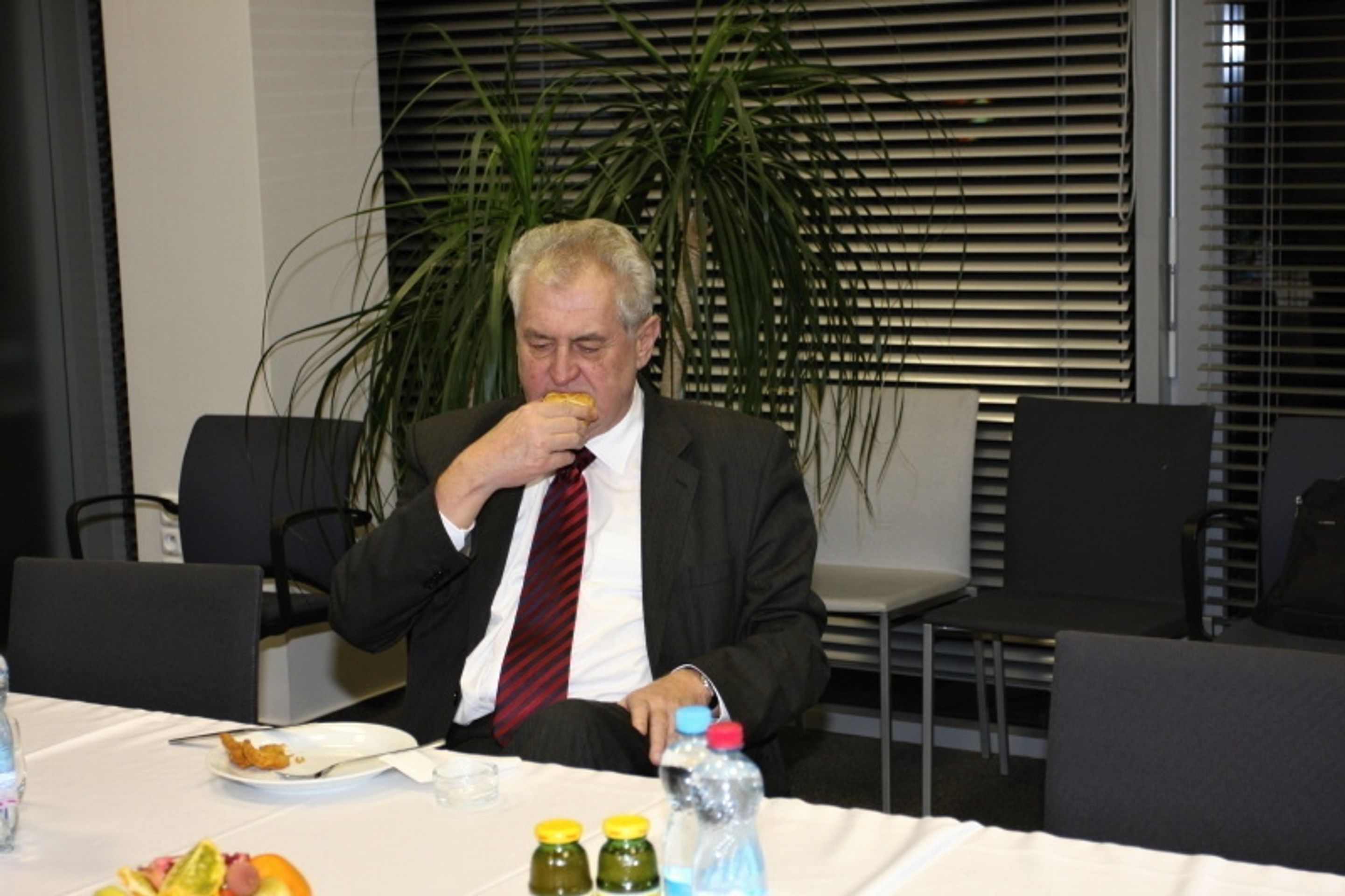 Cesta na Hrad – Zeman a Fischer - 6 - Cesta na Hrad – Miloš Zeman a Jan Fischer (16/20)