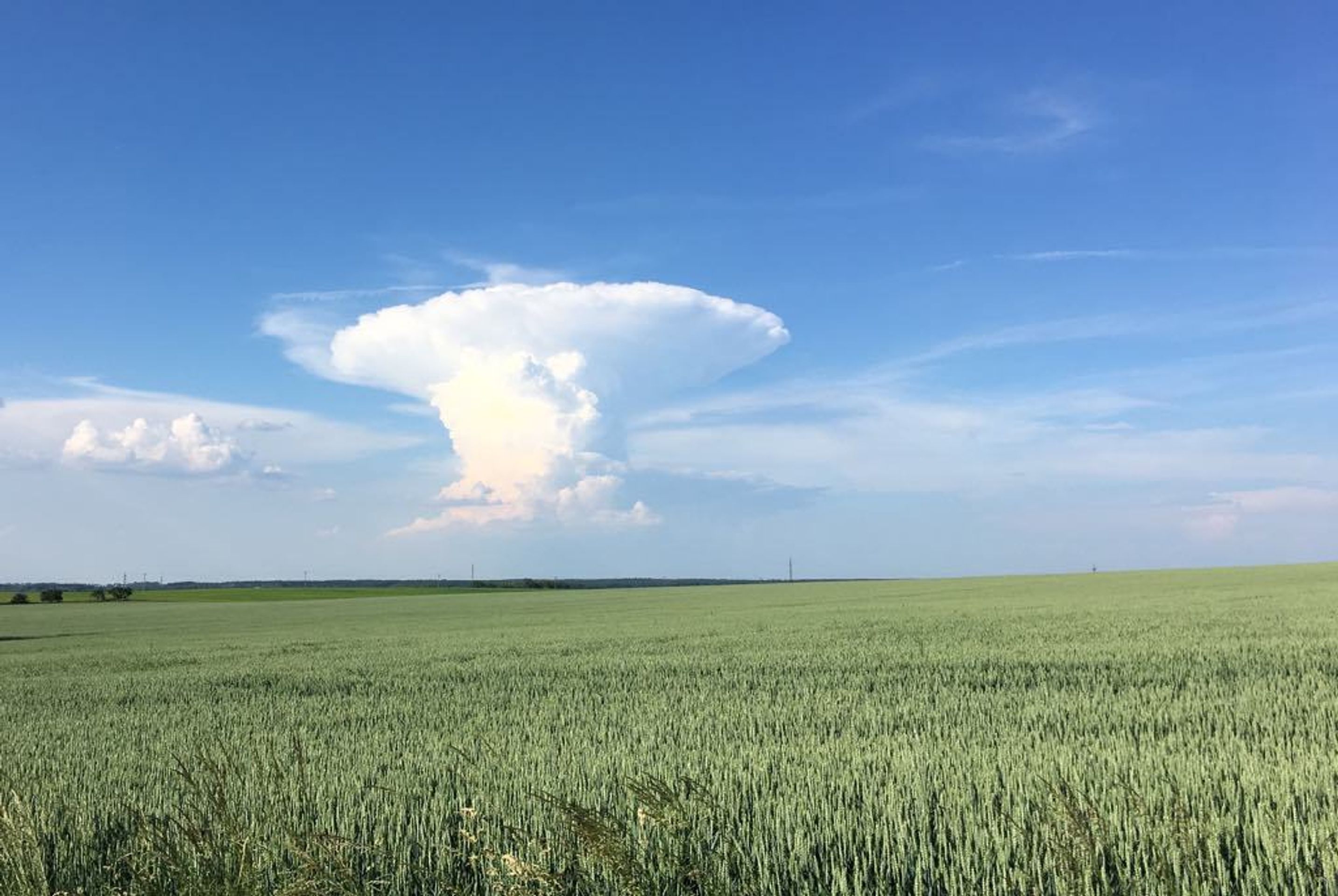 Podívný hřibovitý mrak nad Prahou - 3 - GALERIE: Zvláštně tvarovaný mrak nad Prahou (3/13)