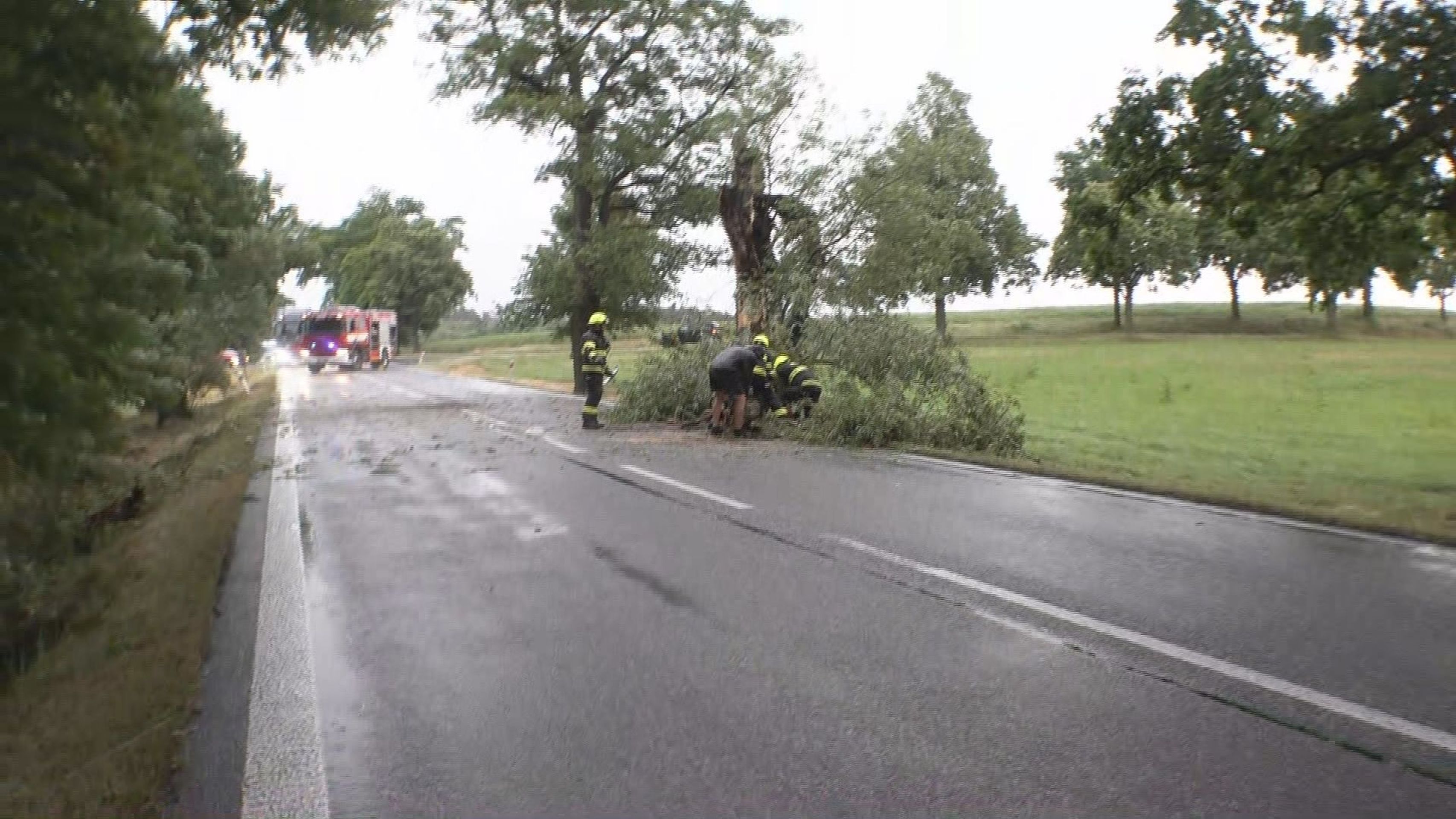 Bouře lámala stromy - Následky bouřky a silného větru (3/21)