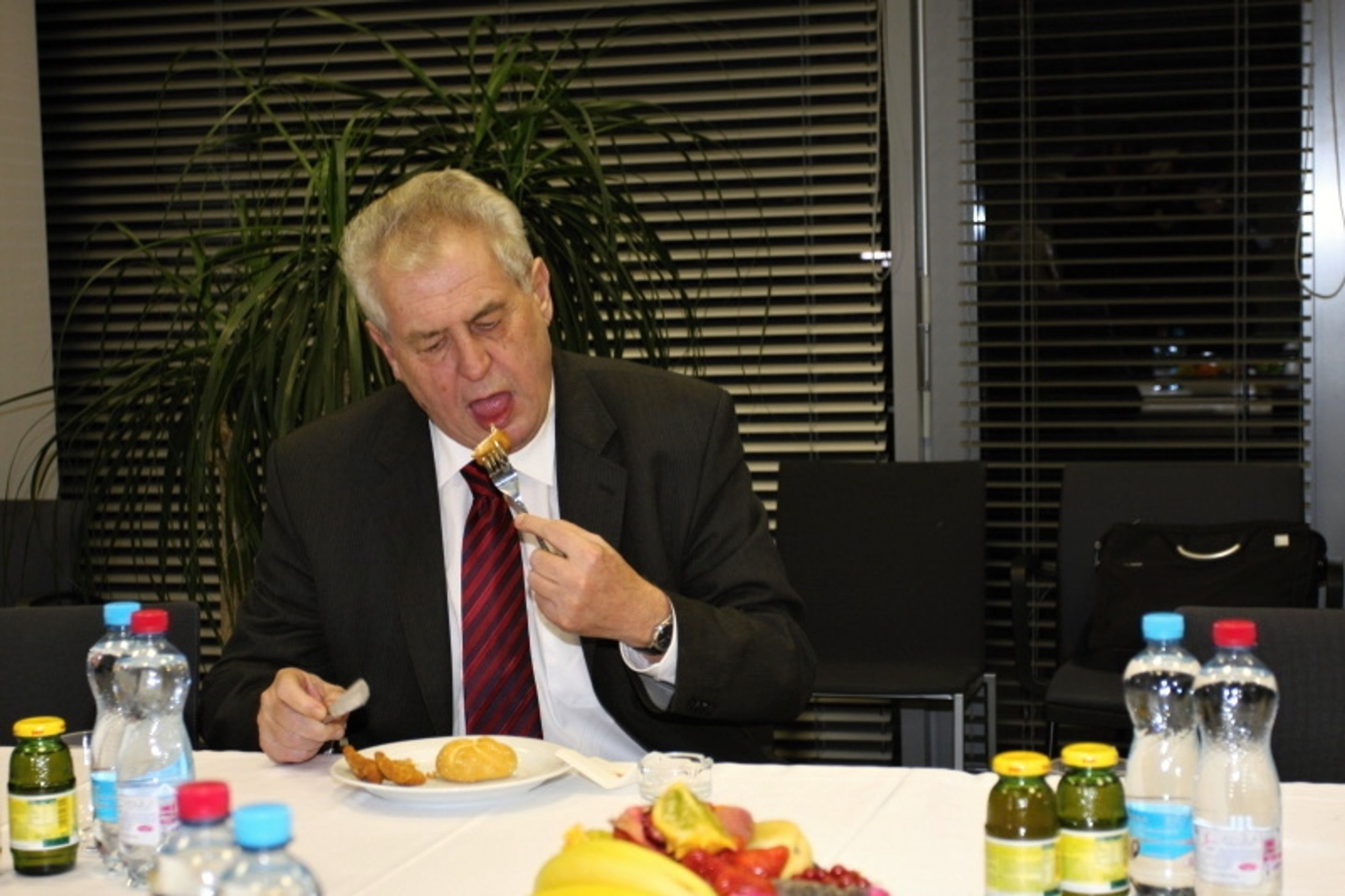 Cesta na Hrad – Zeman a Fischer - 5 - Cesta na Hrad – Miloš Zeman a Jan Fischer (17/20)