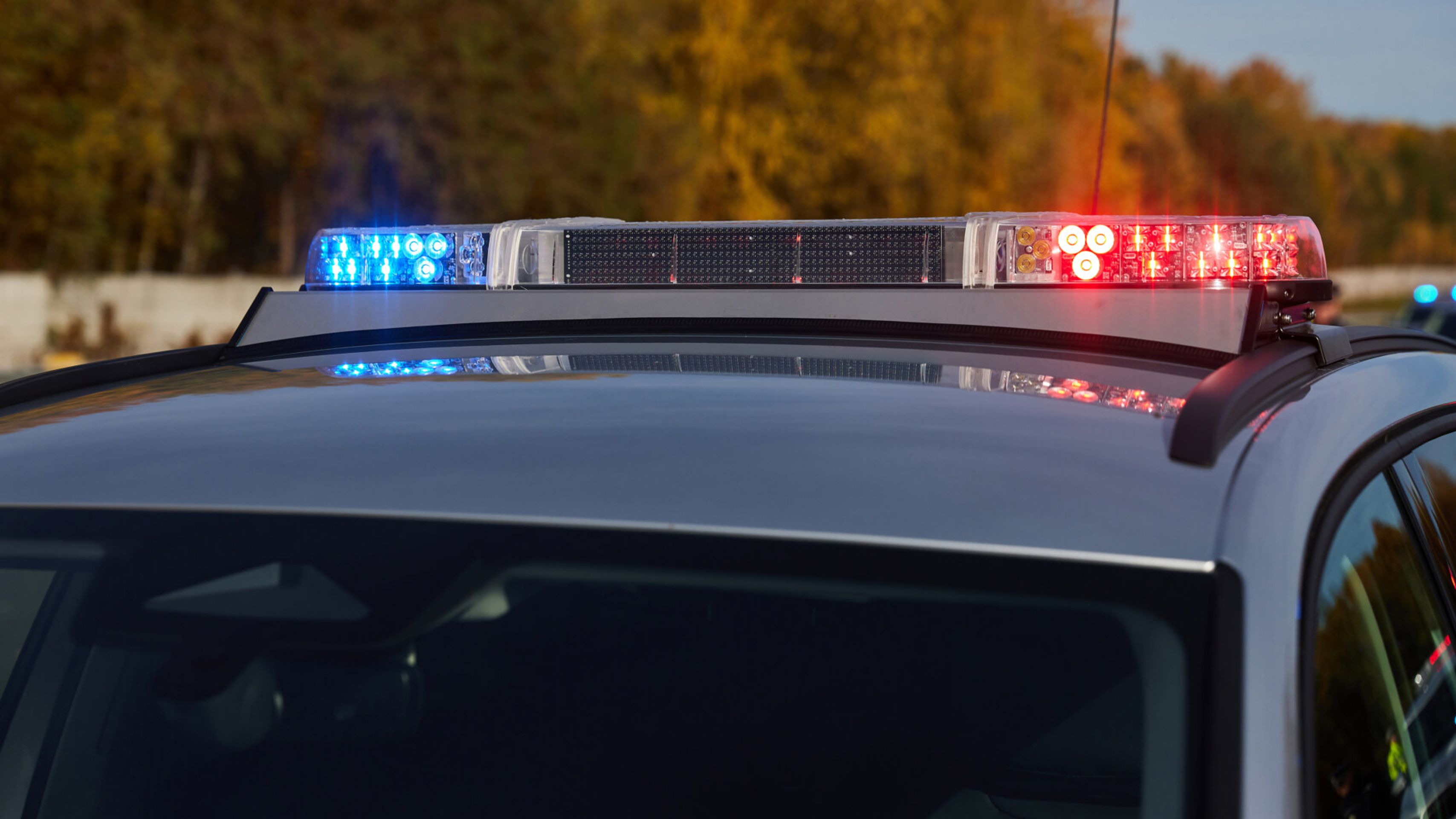 Nové policejní kodiaqy - Nové policejní kodiaqy (9/13)