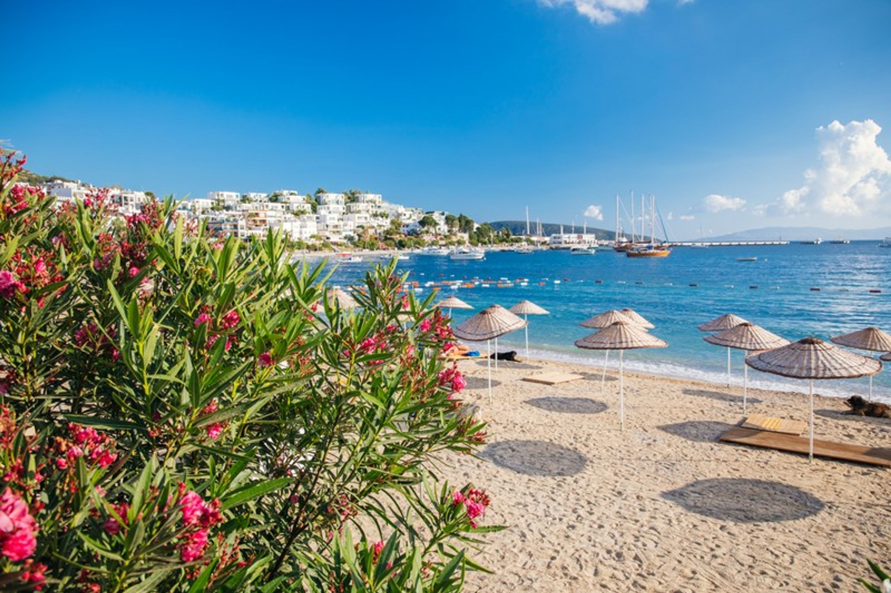 Turecké město Bodrum (5) - Turecké město Bodrum (2/5)