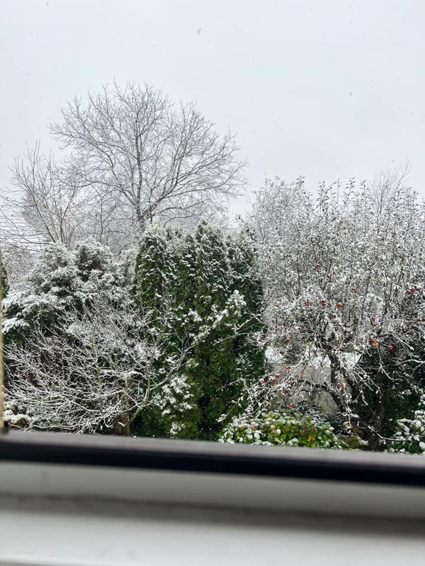 Do Česka dorazil sníh - Do Česka dorazil sníh (10/17)
