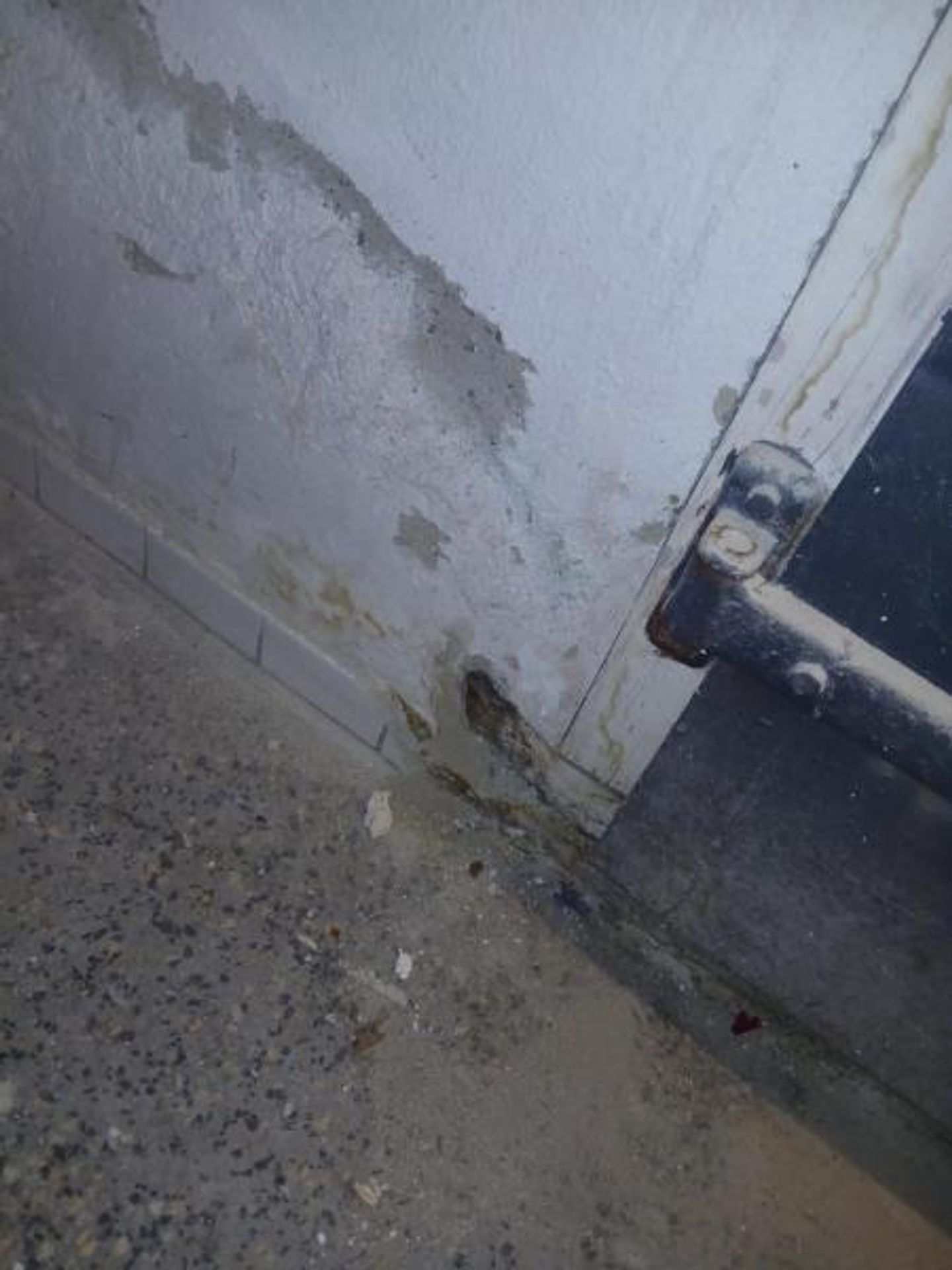 Restaurace u Tří bříz, Prostějov (9) - Provozovny s vážnými hygienickými nedostatky (20/70)