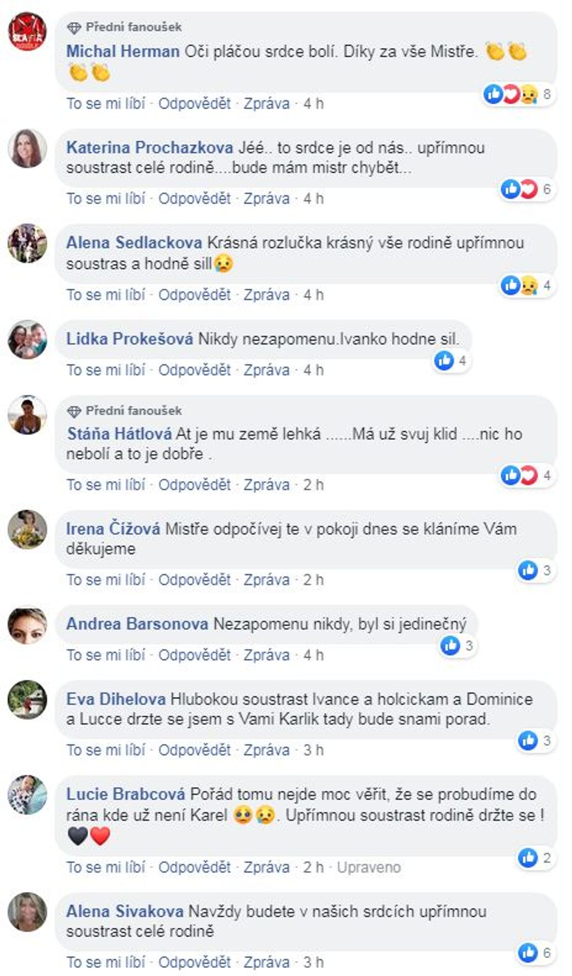 Vzkazy Karlu Gottovi - 4 - GALERIE: Vzkazy Karlu Gottovi (4/8)