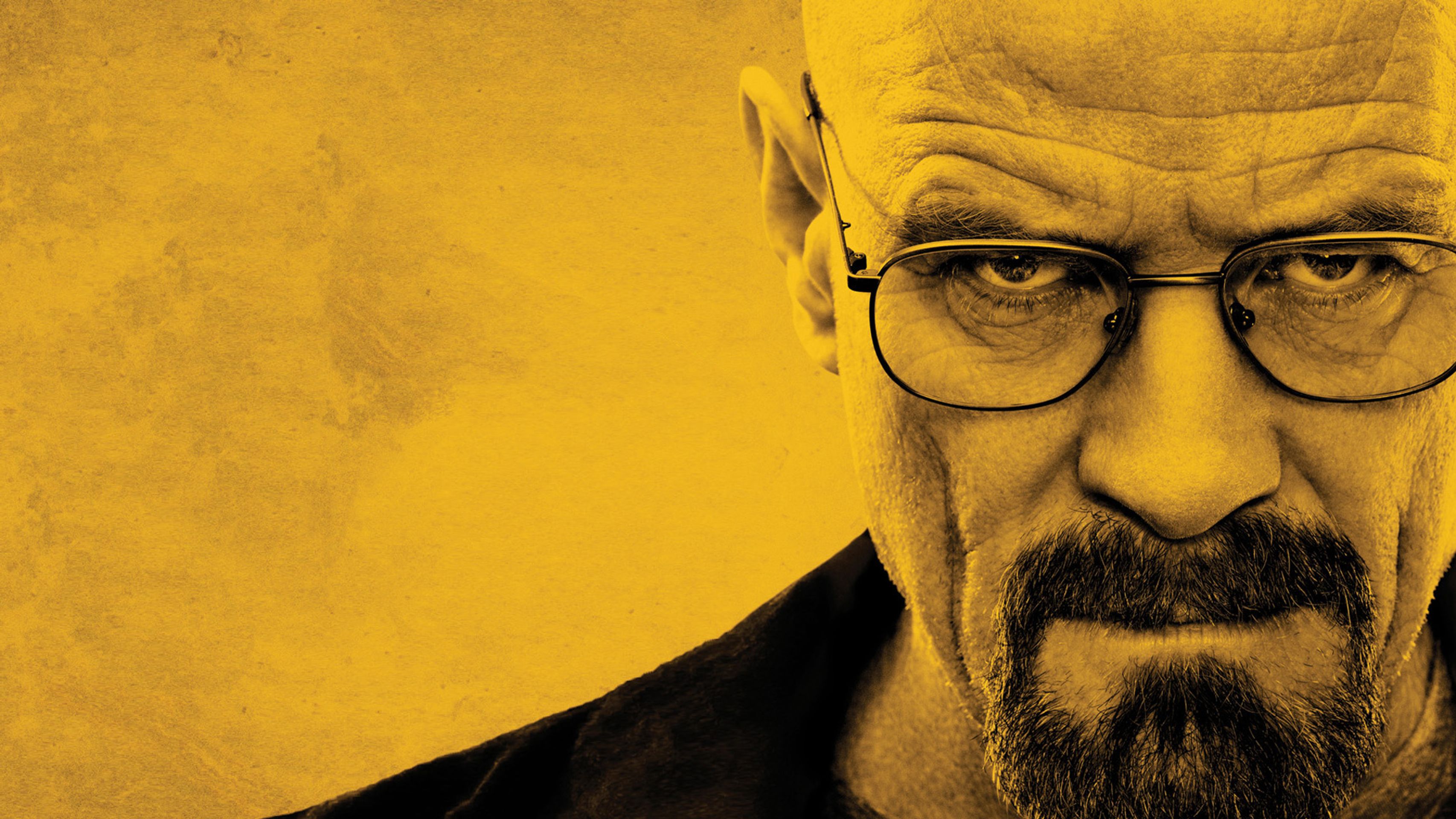 Breaking Bad - clanek 1 - GALERIE: To jsou Jágrova děvčata. Jedna hezčí než druhá (13/16)