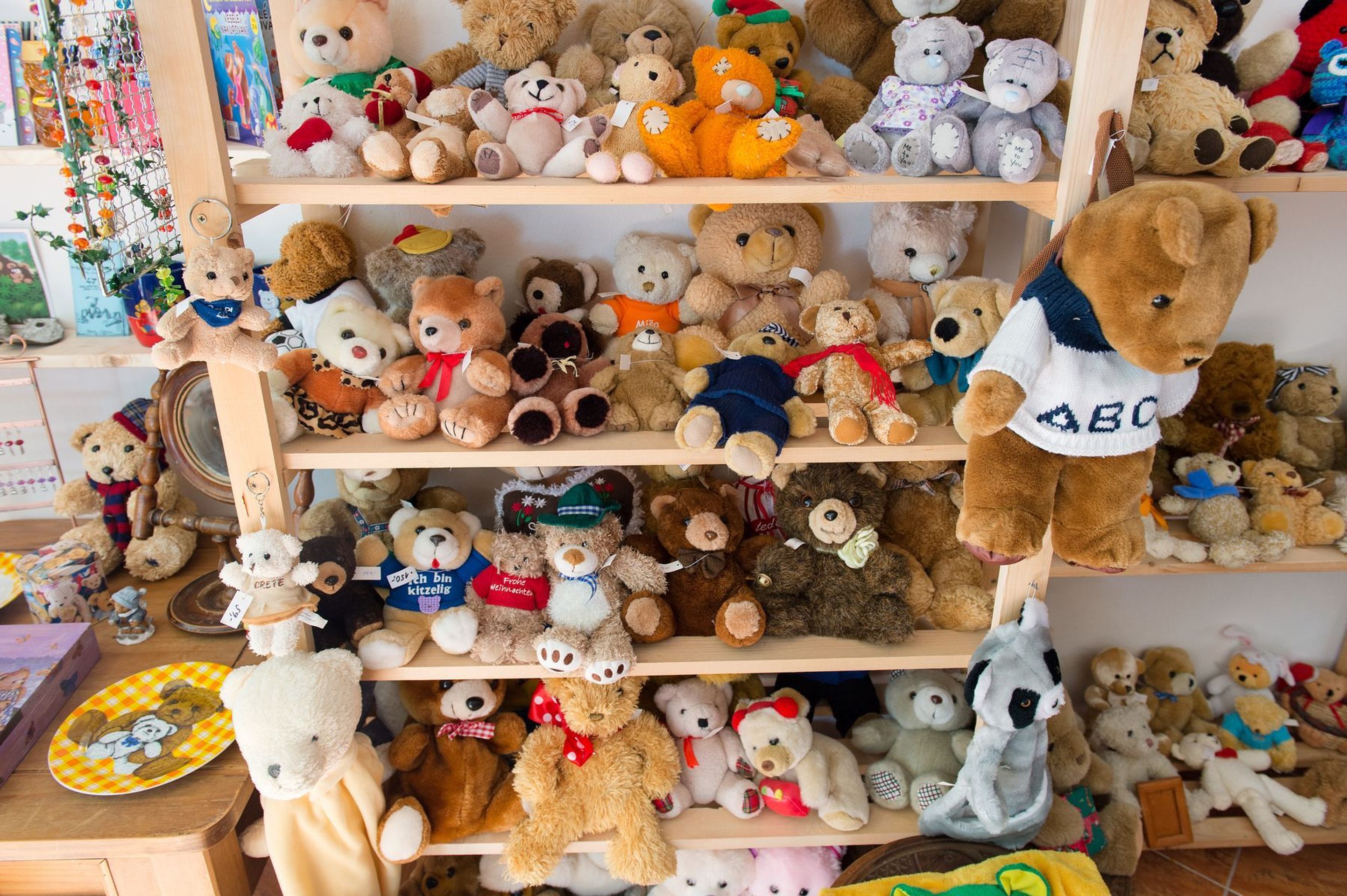 Medvědárium Praha - 6 - GALERIE: Medvědárium Praha (14/18)