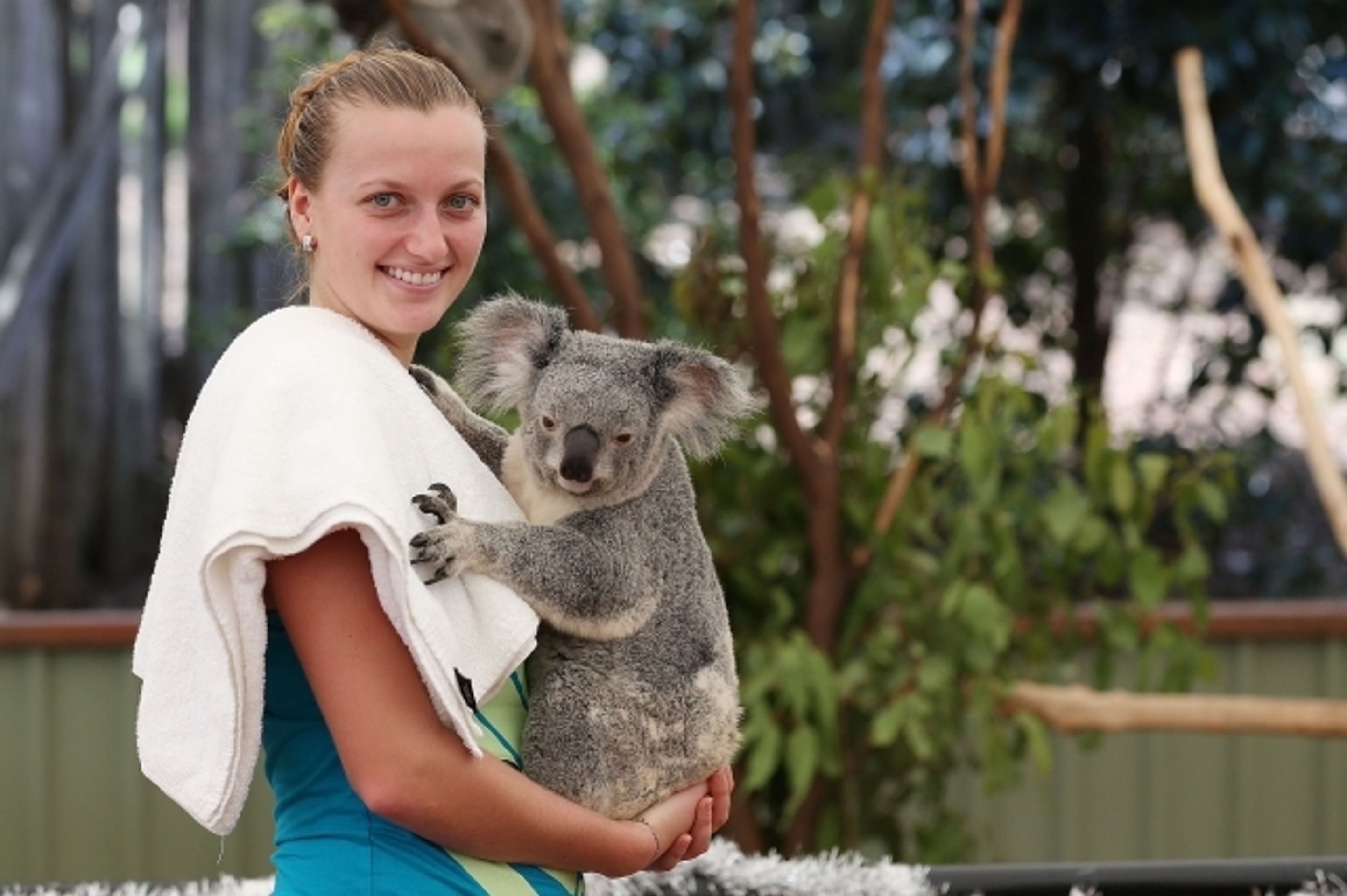 Petra Kvitová a koala - 7 - GALERIE: Petra Kvitová a koala (2/8)
