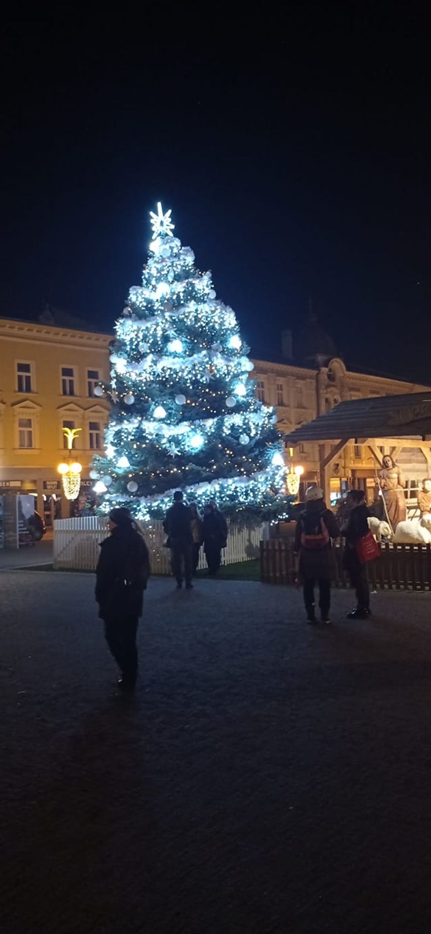 Vánoční stromek v Prostějově - Ošklivé vánoční stromky (3/11)