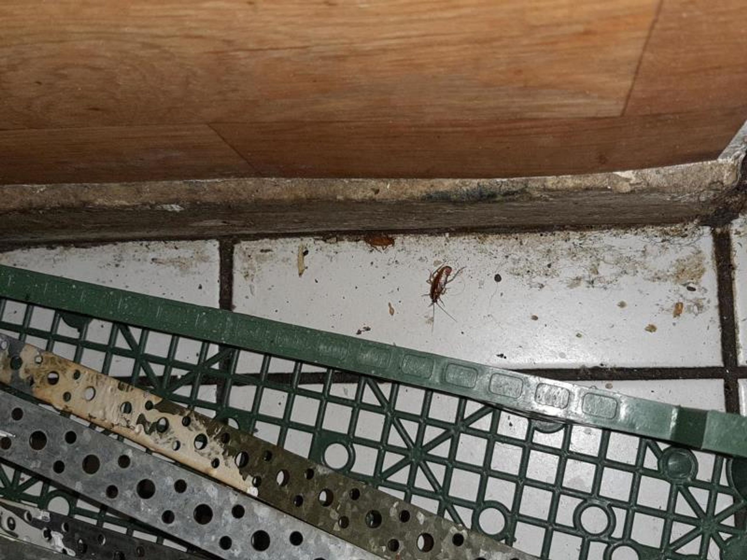 Uzavřená provozovna Kebab house, Horažďovice (3) - Zavřené restaurace a rychlá občerstvení (16/41)
