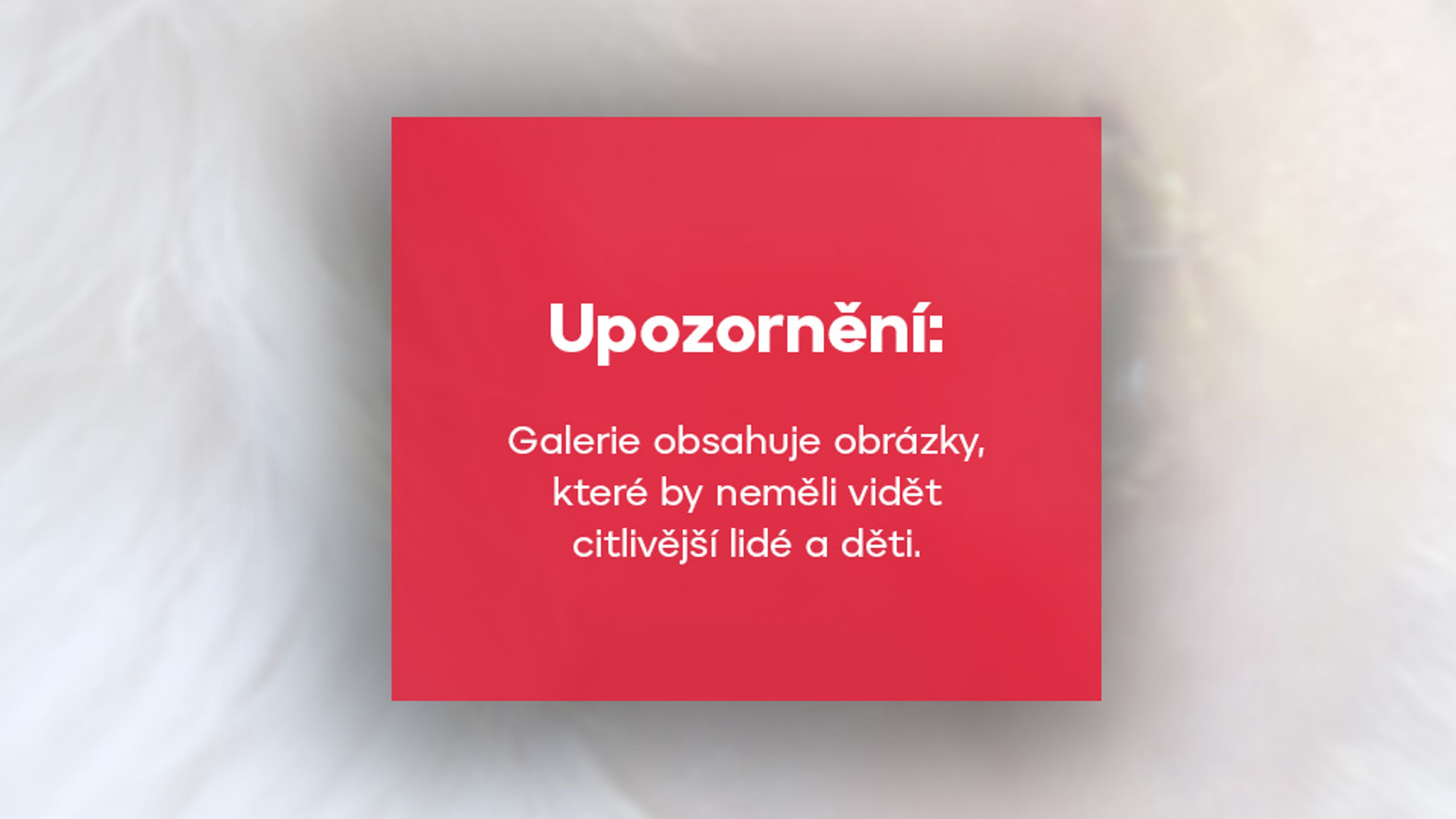 Upozornění přes první fotku v galerii - Napadení fen smečkou bulteriérů (1/10)