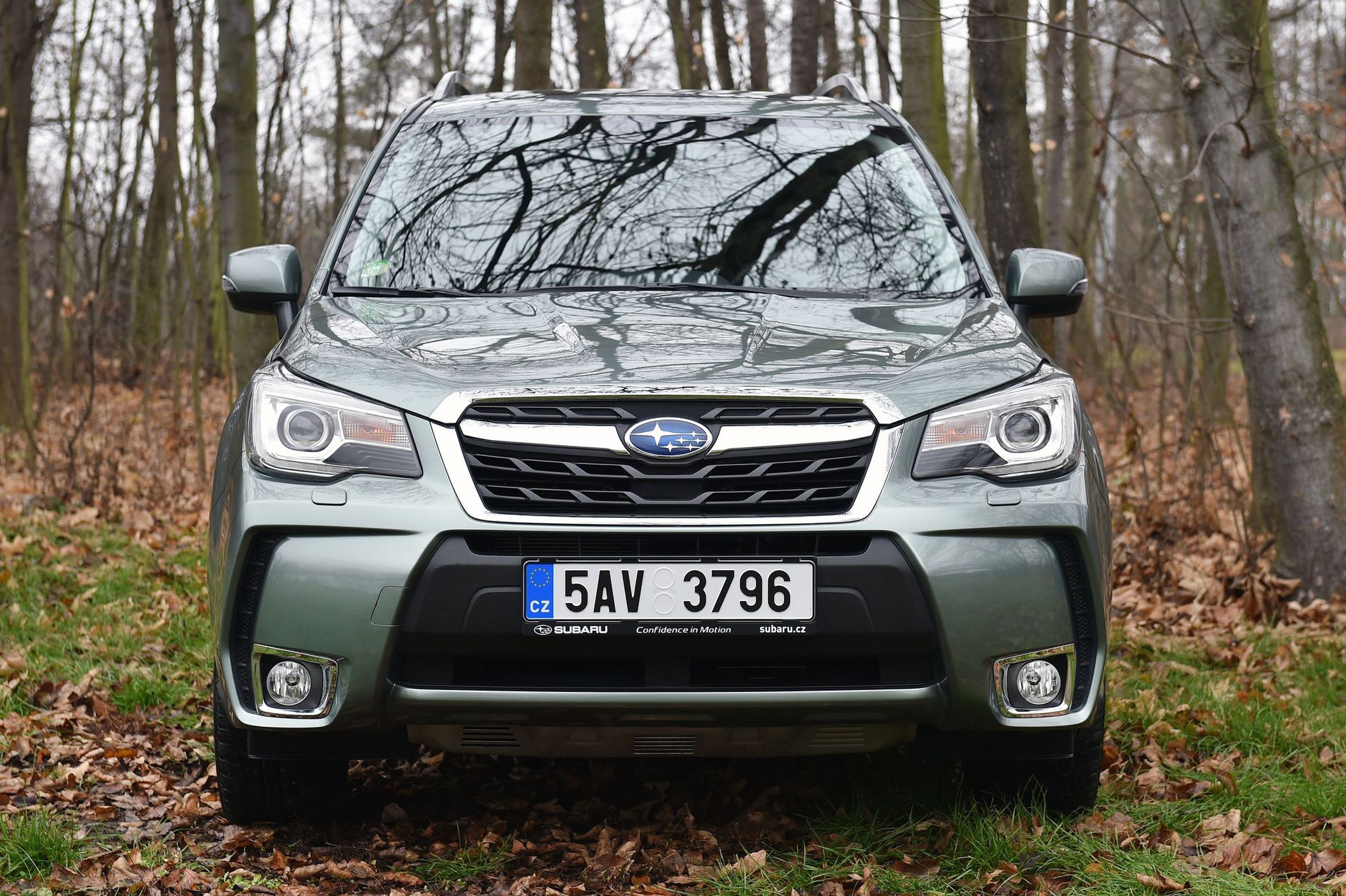 Subaru Forester - 11 - GALERIE: Subaru Forester (11/15)