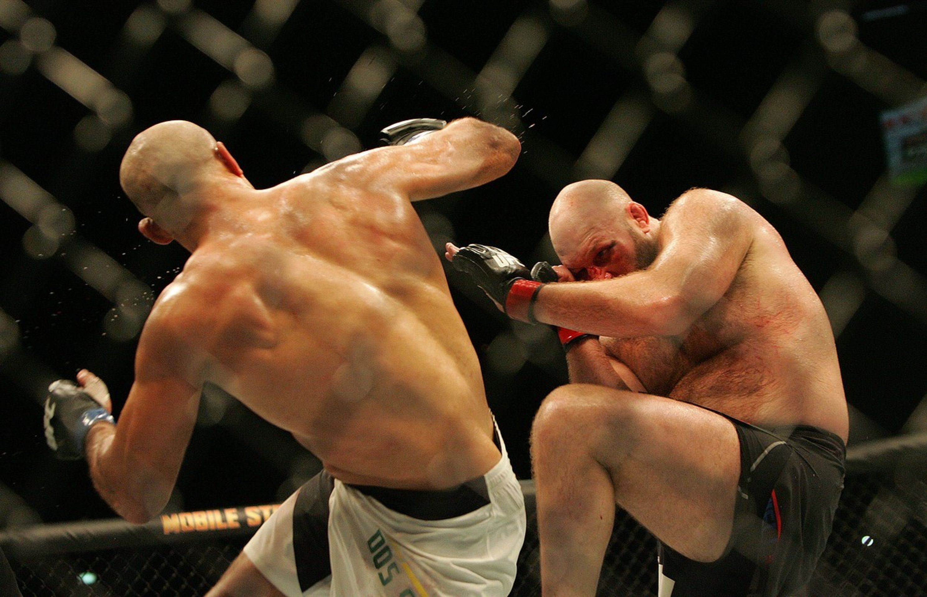 Junior dos Santos vs Ben Rothwell - 1 - GALERIE: Junior dos Santos vs Ben Rothwell (5/6)