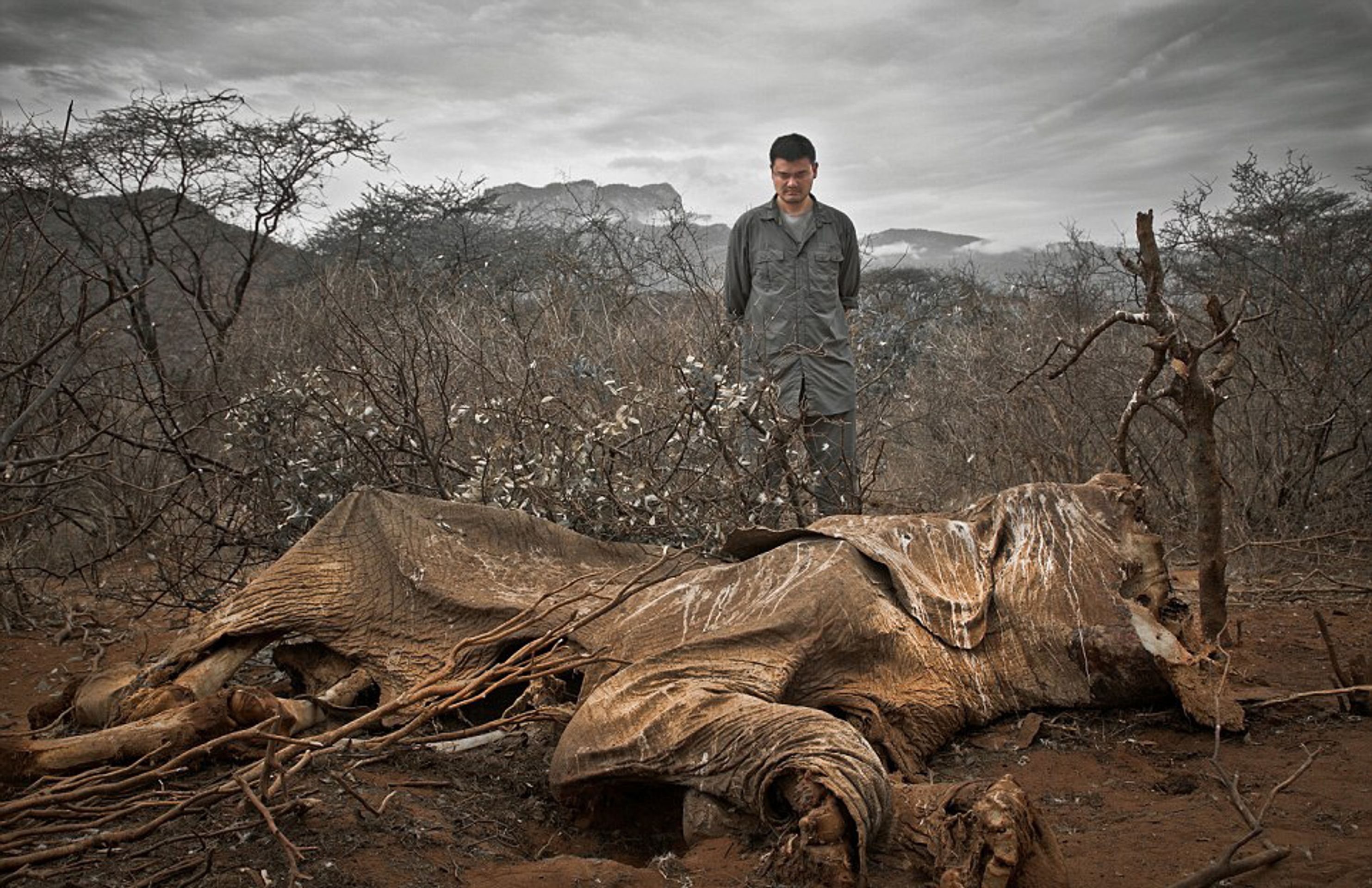 Fotografie znázorňující ničivé důsledky přelidnění - Keňa - GALERIE: Fotografie znázorňující ničivé důsledky přelidnění (6/28)