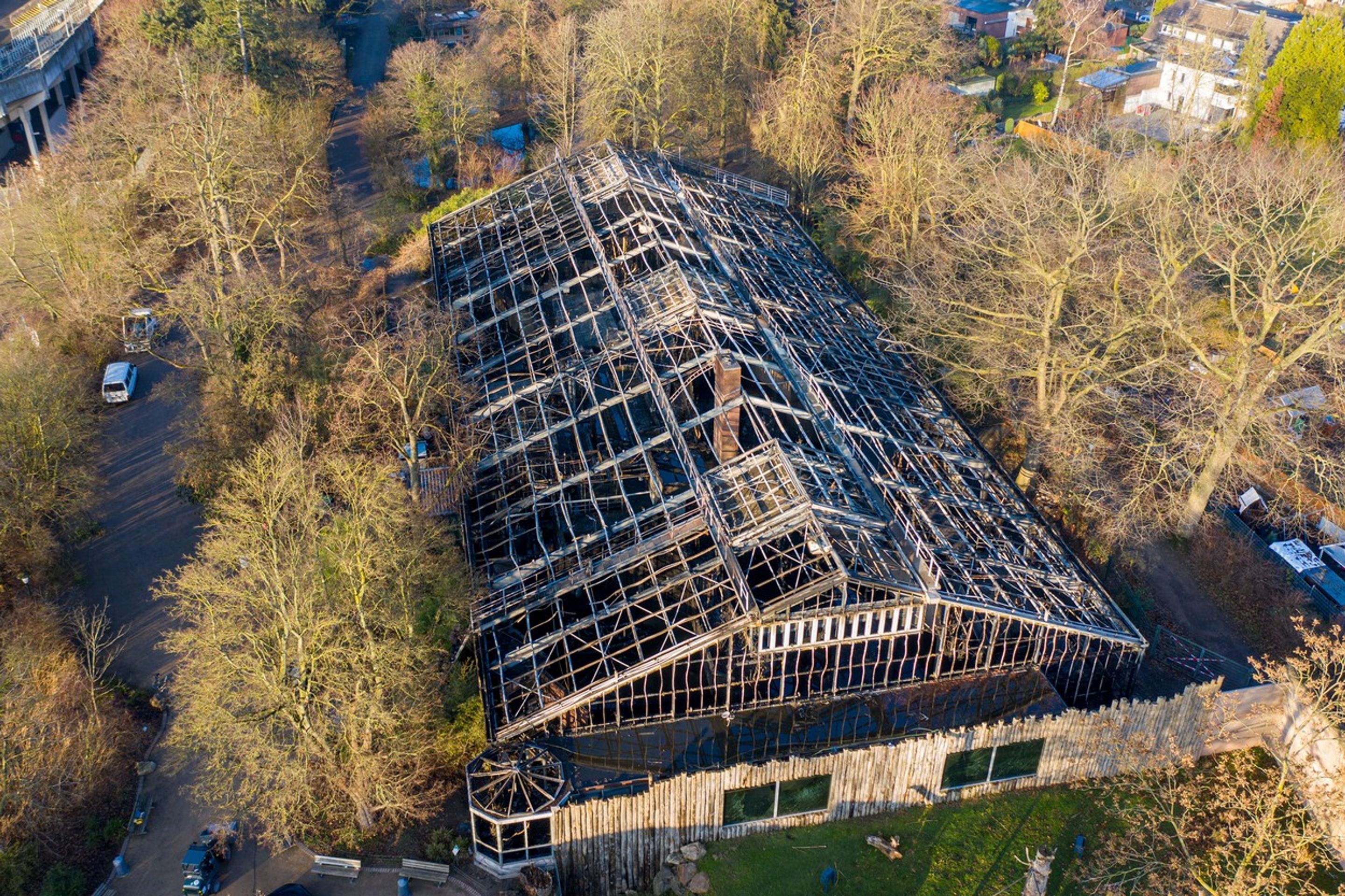 Požár v krefeldské ZOO - 2 - GALERIE: V německé zoo vyhořel pavilon opic (5/8)