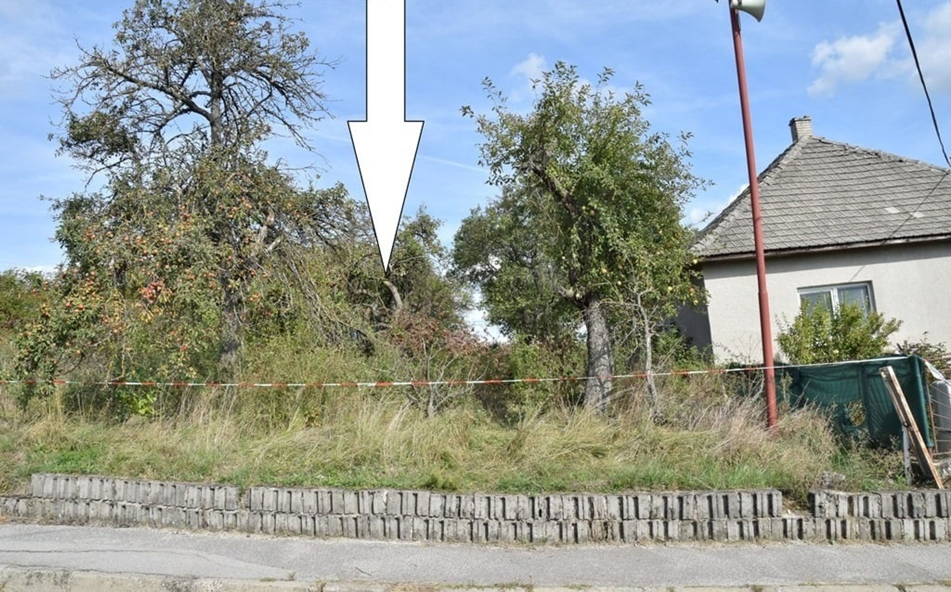 Psi zaútočili na slovenského důchodce - 2 - GALERIE: Muže napadli psi (6/6)