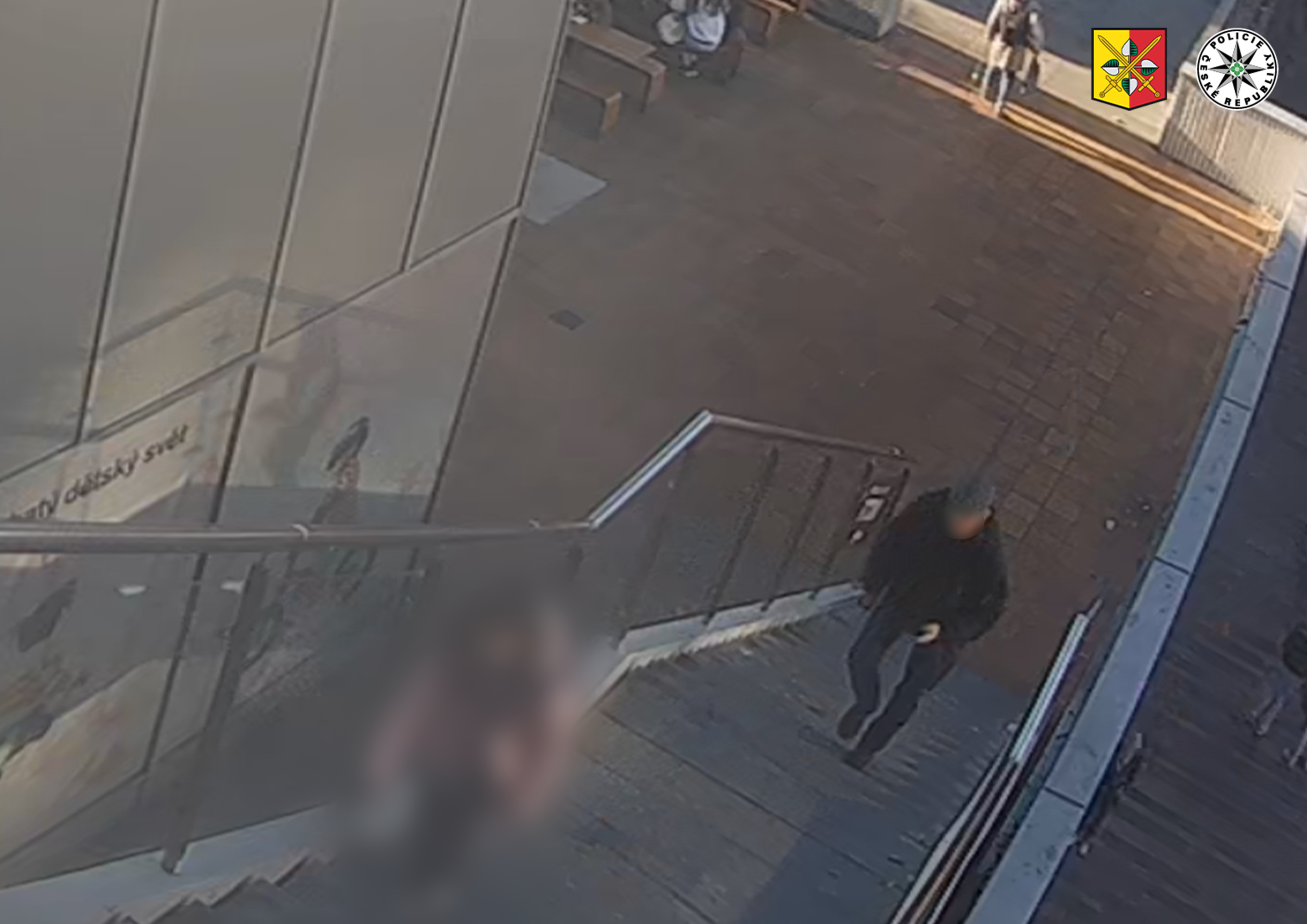 Policie vyšetřuje sexuální útok na 9letou dívku v Praze - Policie vyšetřuje sexuální útok na 9letou dívku v Praze (1/3)