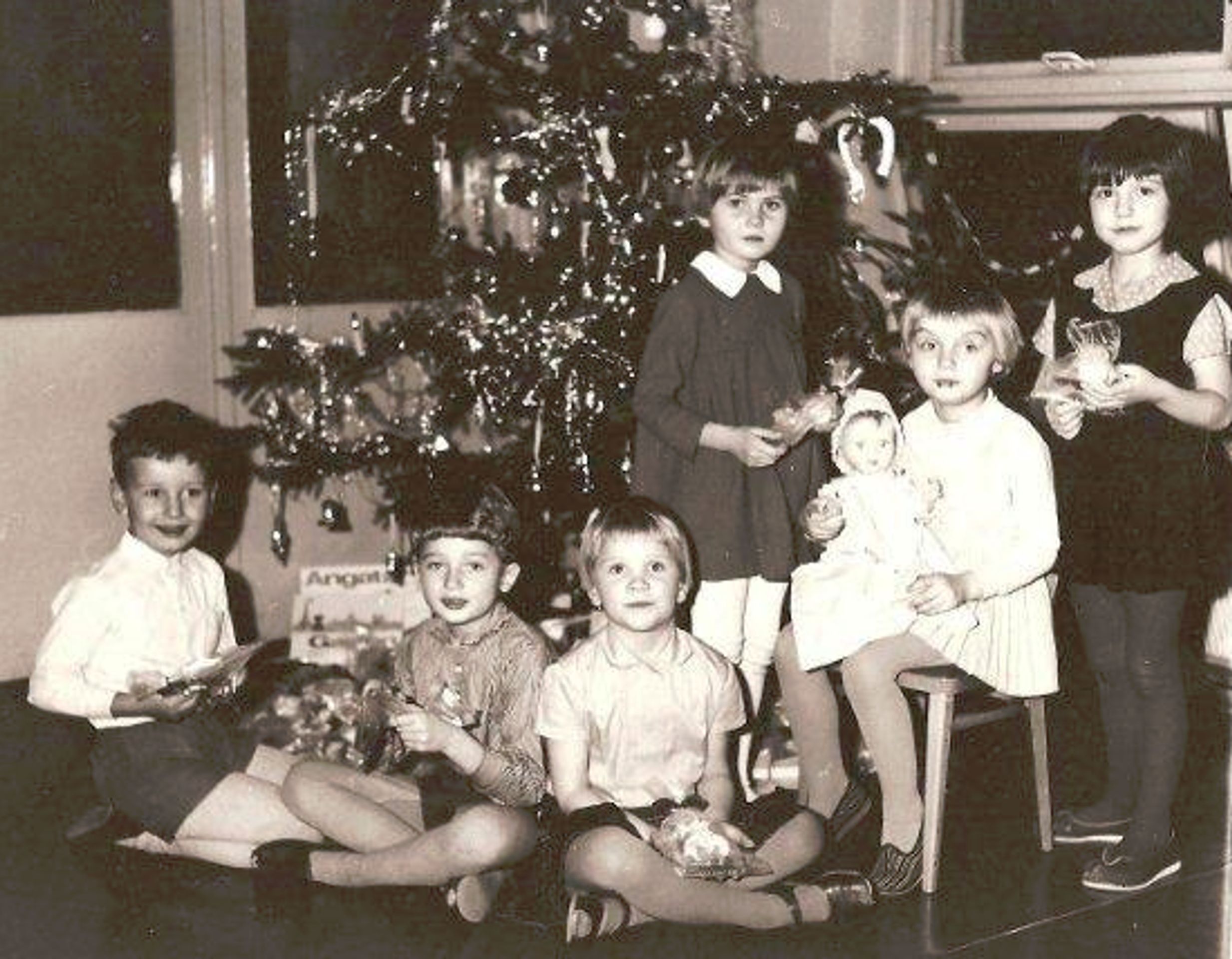 Vánoce Ivana Horáčka - Nejstarší vánoční stromky - fotogalerie (2/8)
