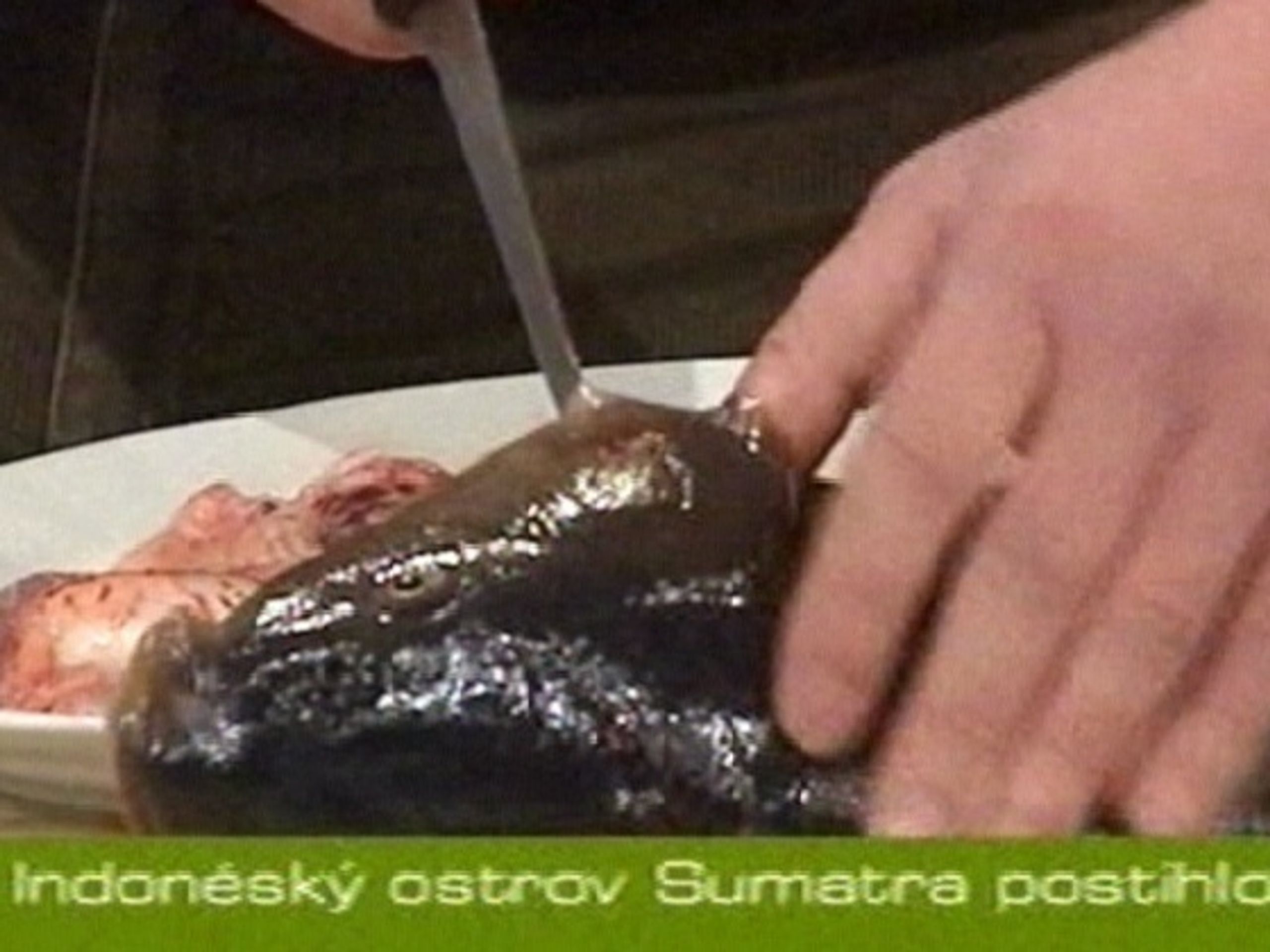 Kapr. Ilustrační foto - K Vánocům patří tradiční český kapr (3/3)