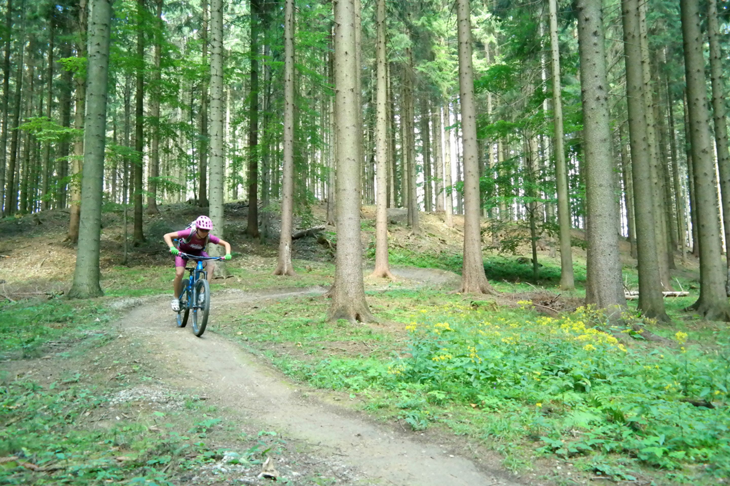 Kyčerka v Beskydech - 17 - GALERIE: Bikepark Kyčerka je vhodný do začátku (7/9)