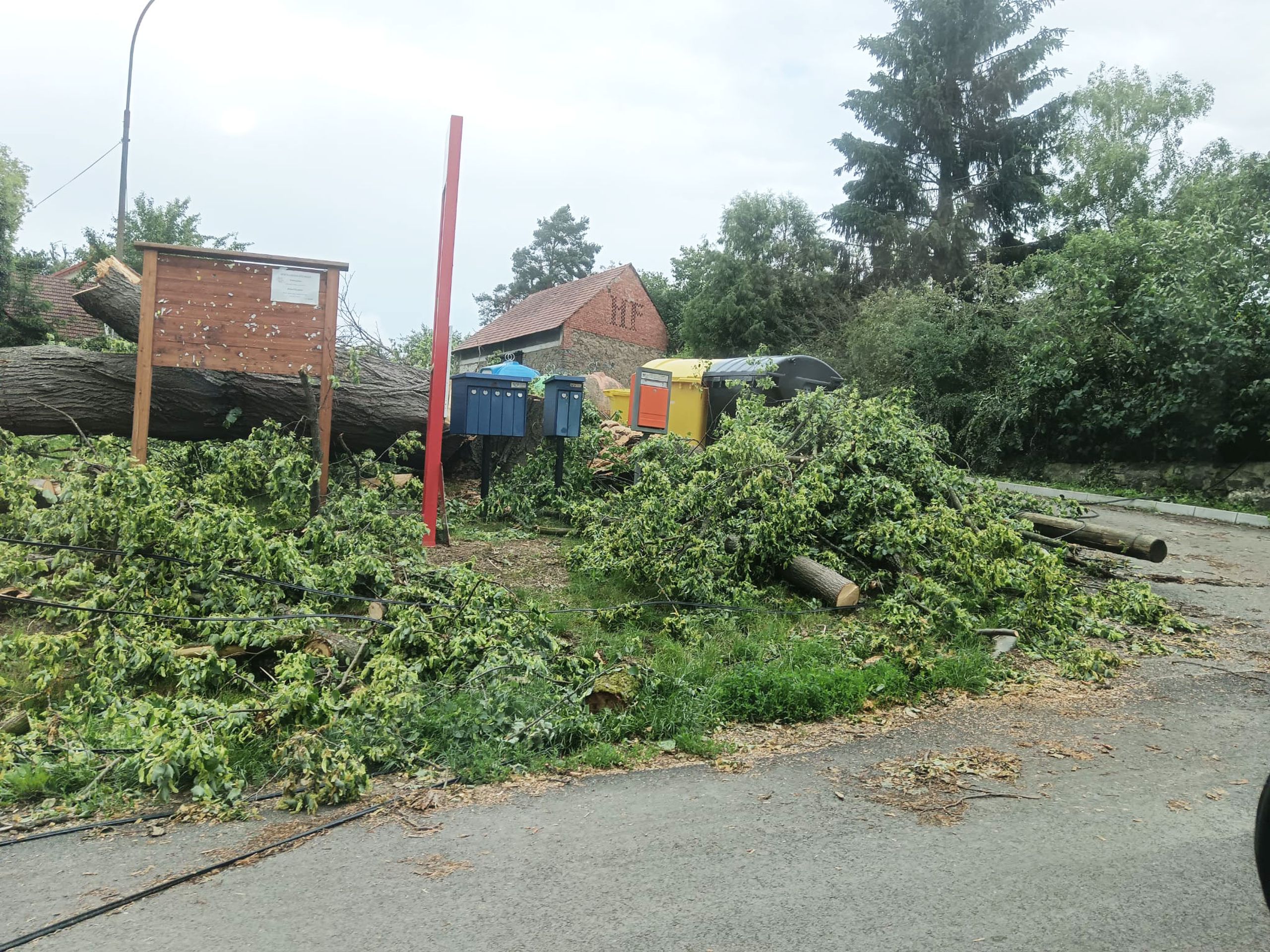 Sedlčany se vzpamatovávají z vichřice (1) - Sedlčany se vzpamatovávají z vichřice (8/38)