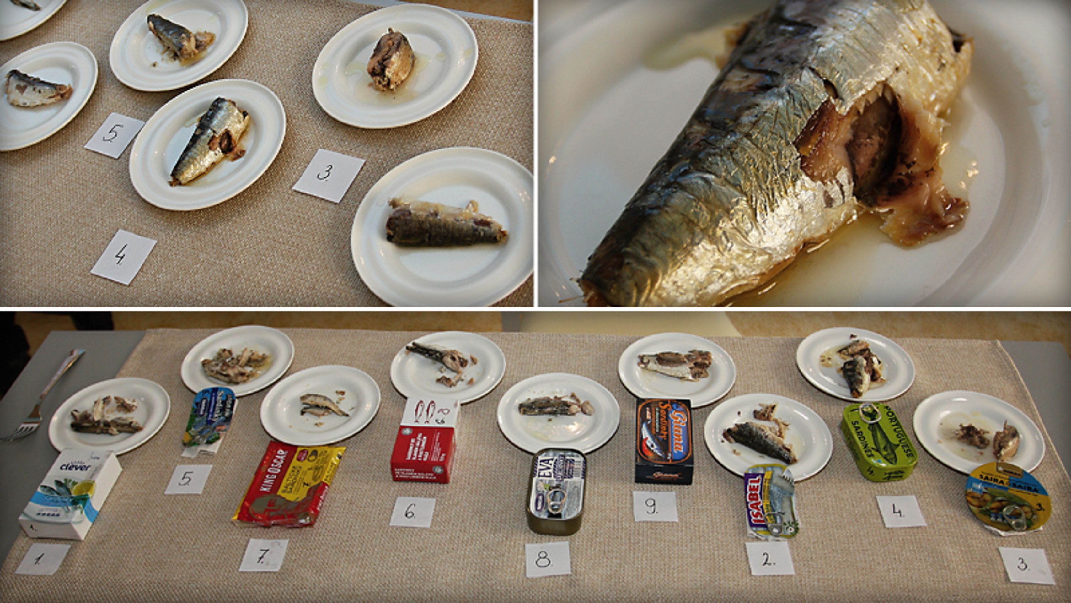 Test - sardinky - Test sardinek (1/13)