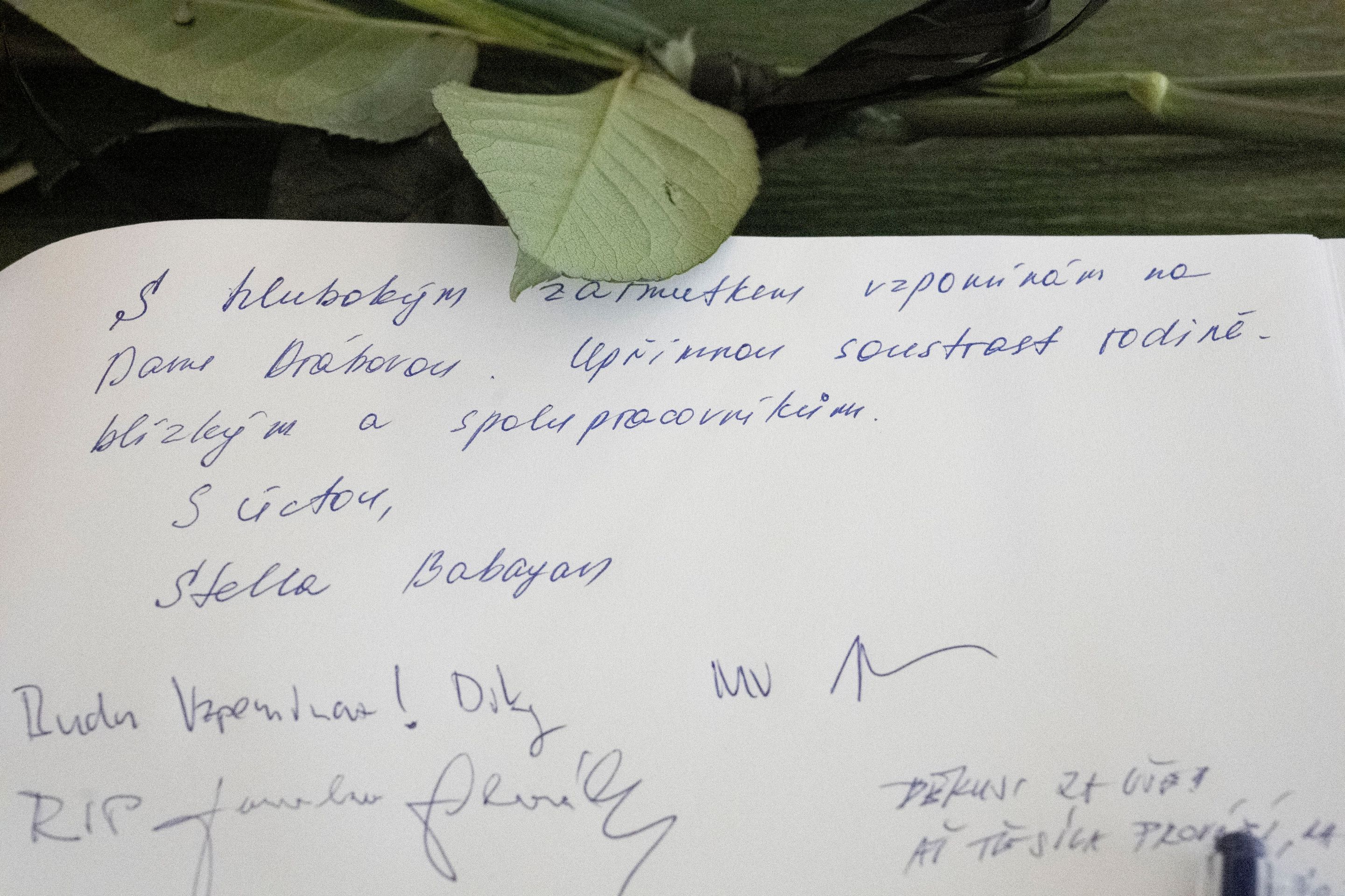 Dana Drábová, pietní místo - Dana Drábová, pietní místo (2/7)