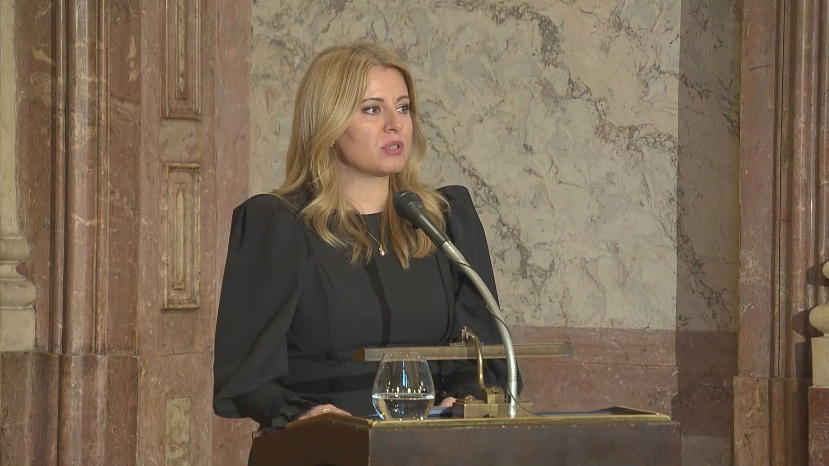 Zuzana Čaputová - Návštěva slovenské prezidentky Čaputové u Zemana v nemocnici (5/14)