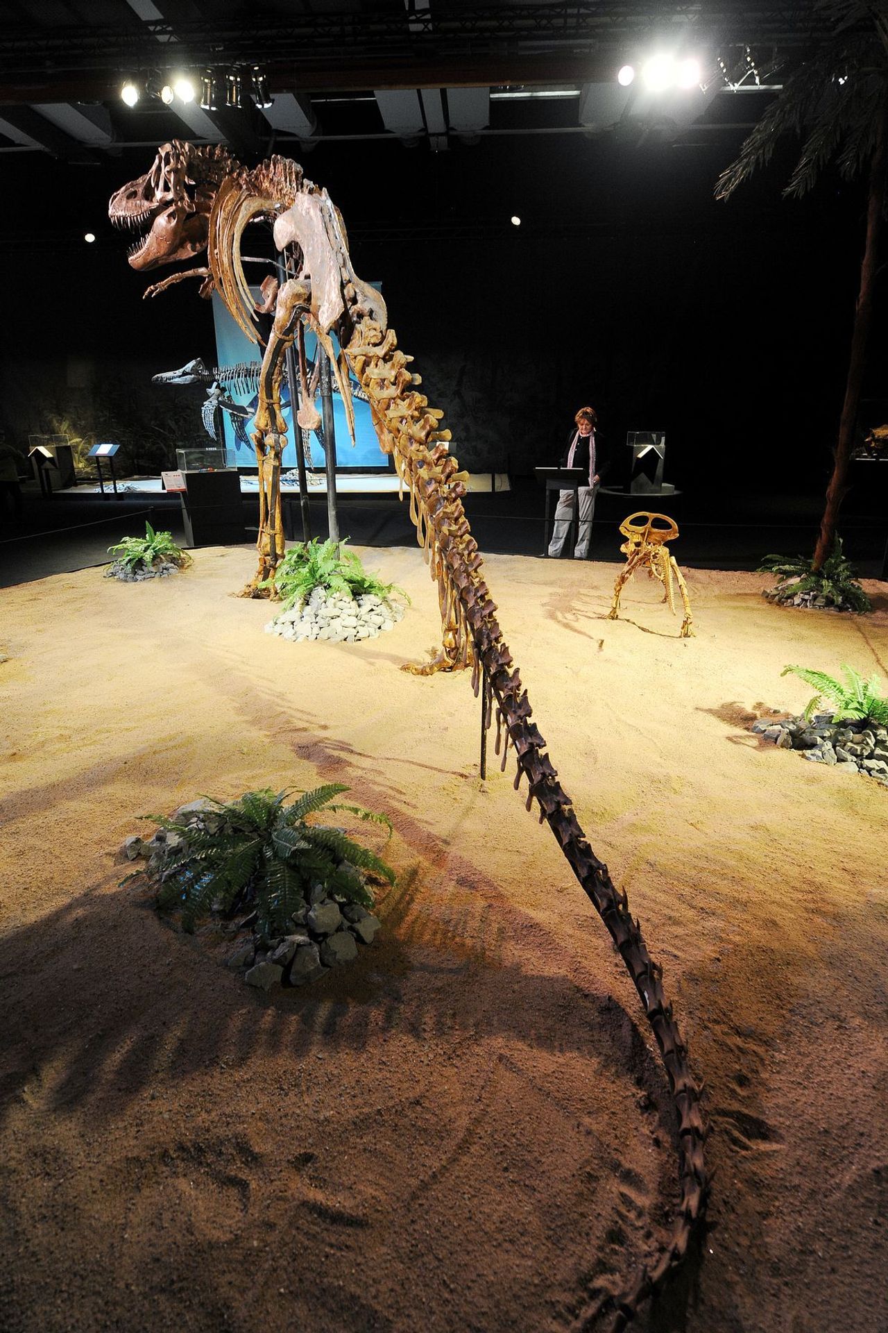 Výstava Dinosaurium - 4 - GALERIE: Výstava Dinosaurium (20/23)