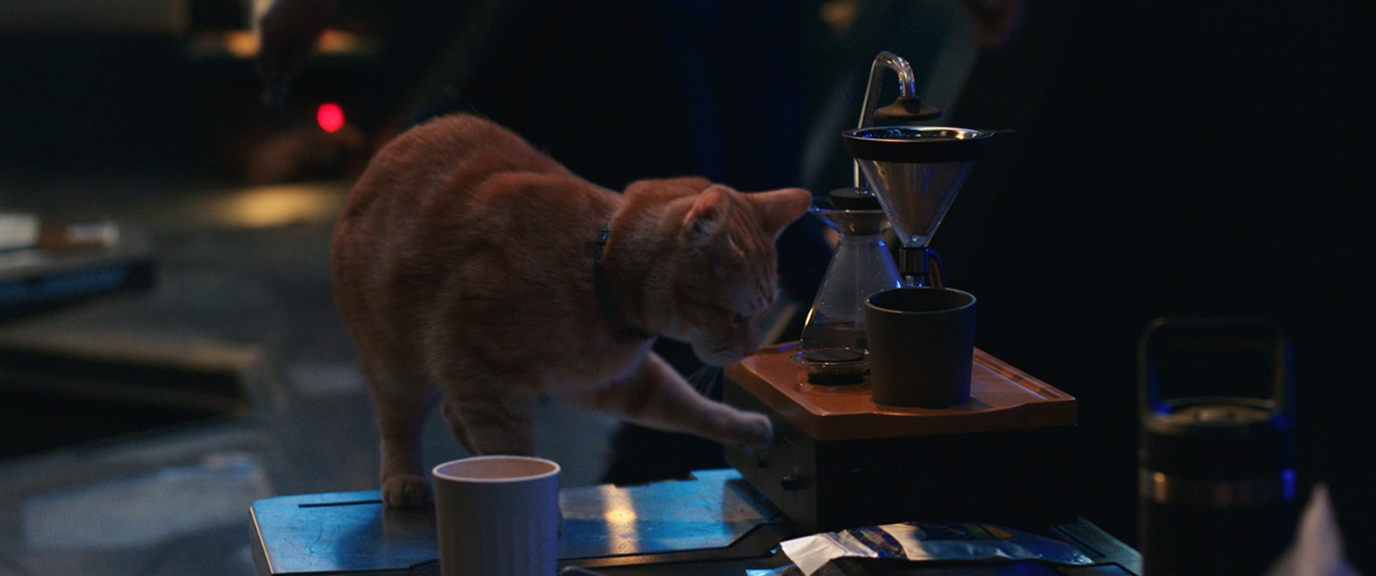 Film Marvels (4) - Film Marvels (10/26)