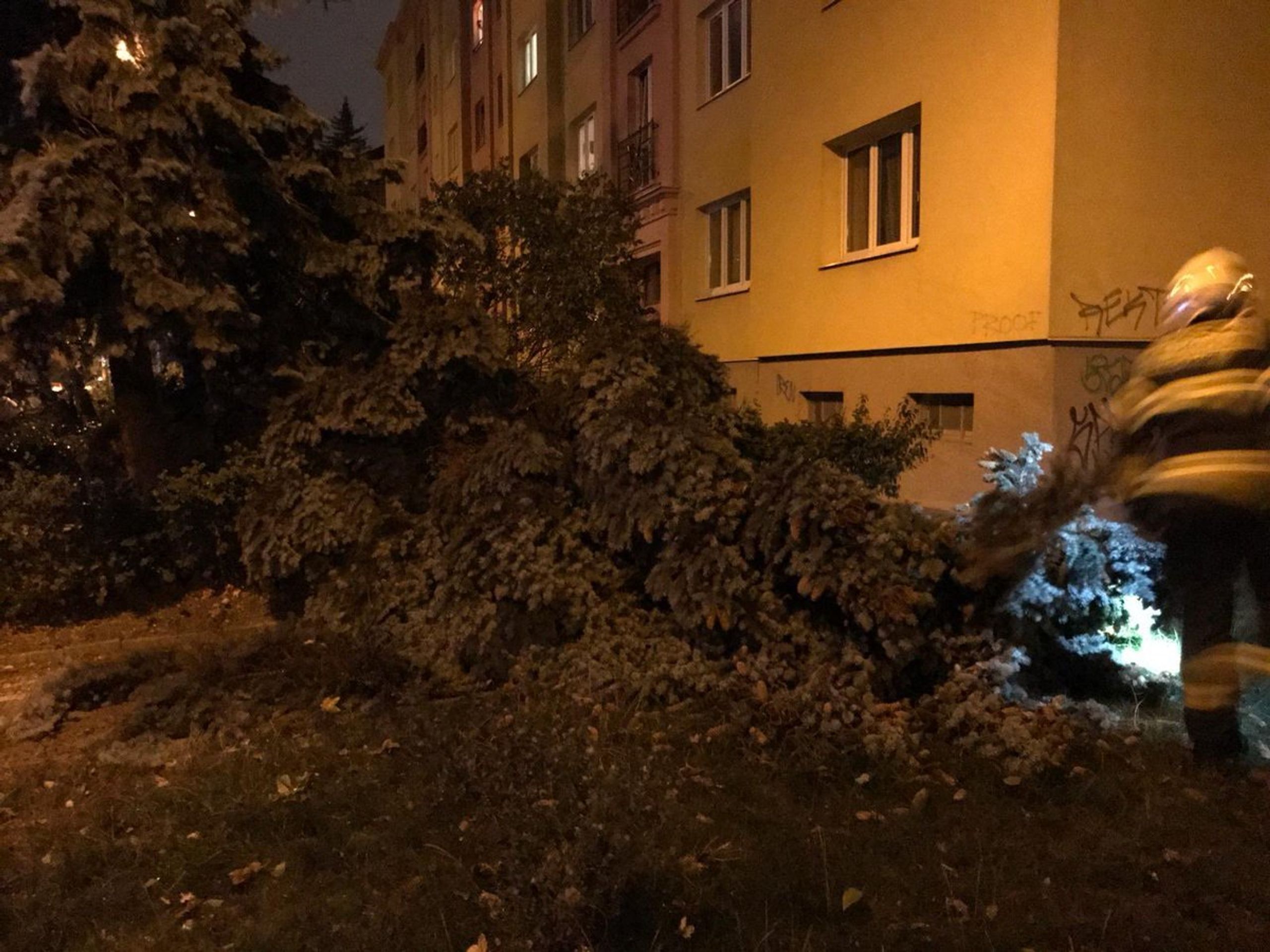 Noční zásahy hasičů kvůli silné bouři - 5 - GALERIE: Českem se prohnala bouře, hasiči měli plné ruce práce (3/7)