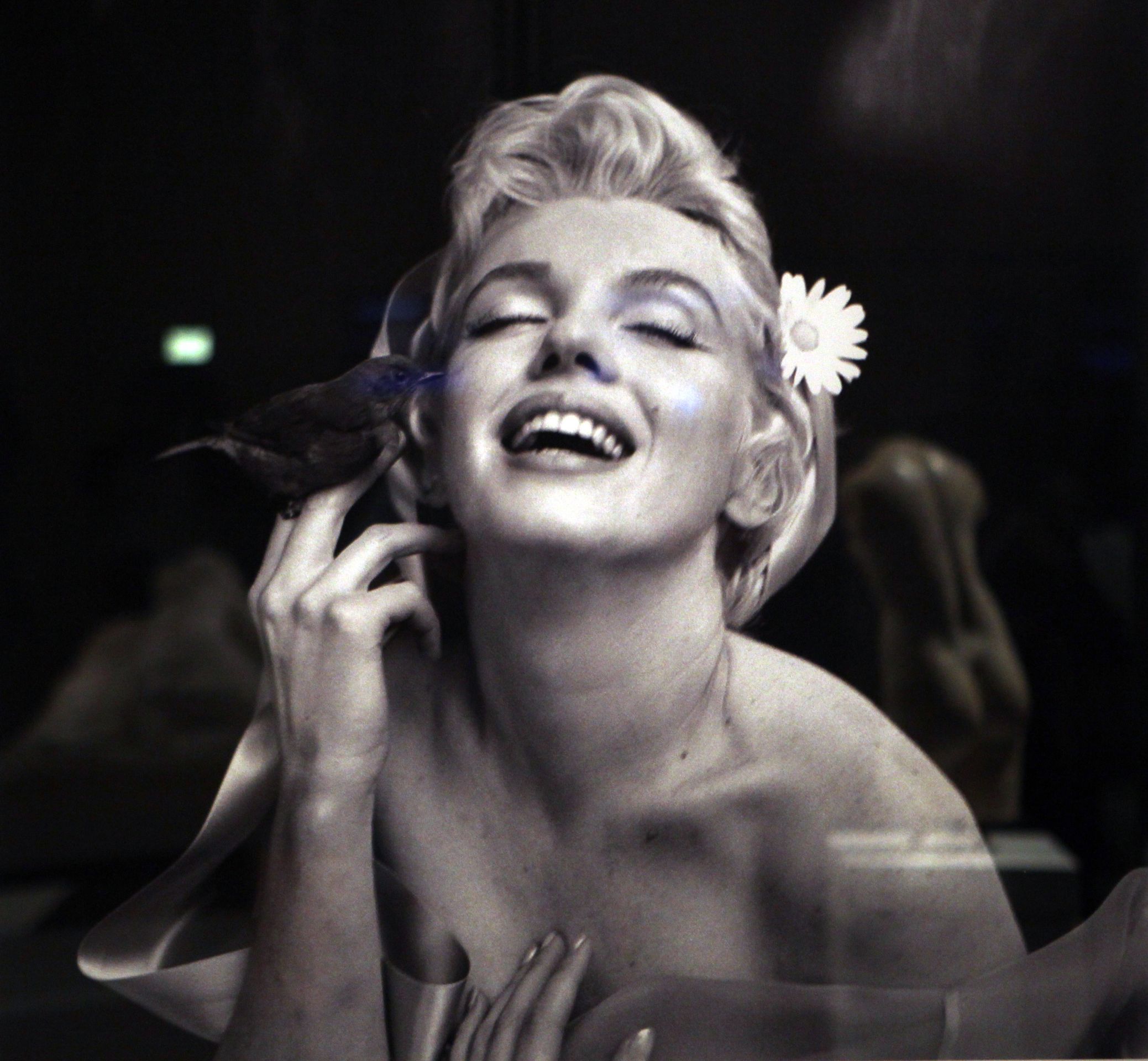 Marylin Monroe - Marilyn Monroe (3/3)