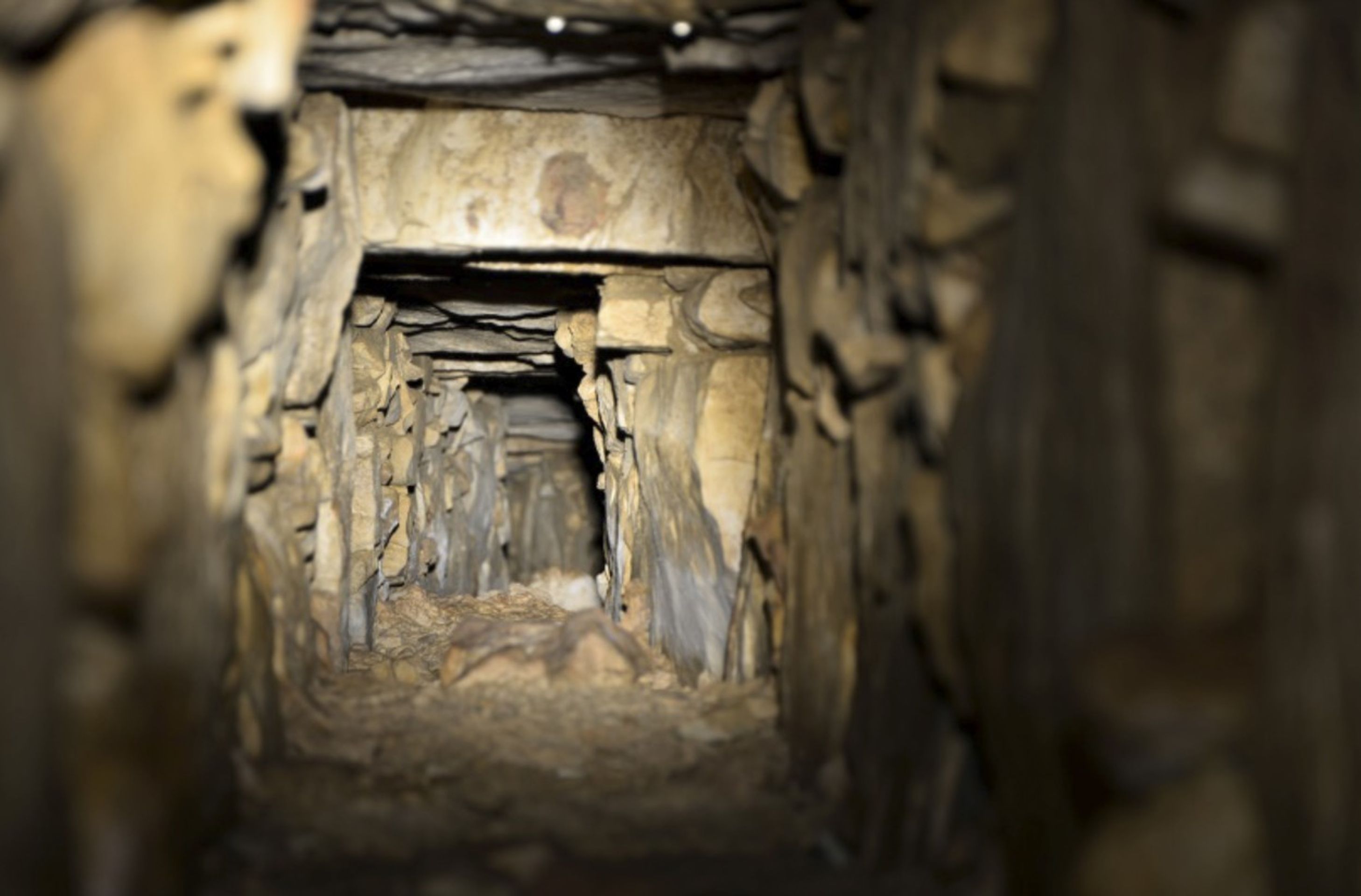 Mayský chrám v Palenque - 4 - GALERIE: Mayský chrám v Palenque skrýval tunel do podsvětí (4/4)