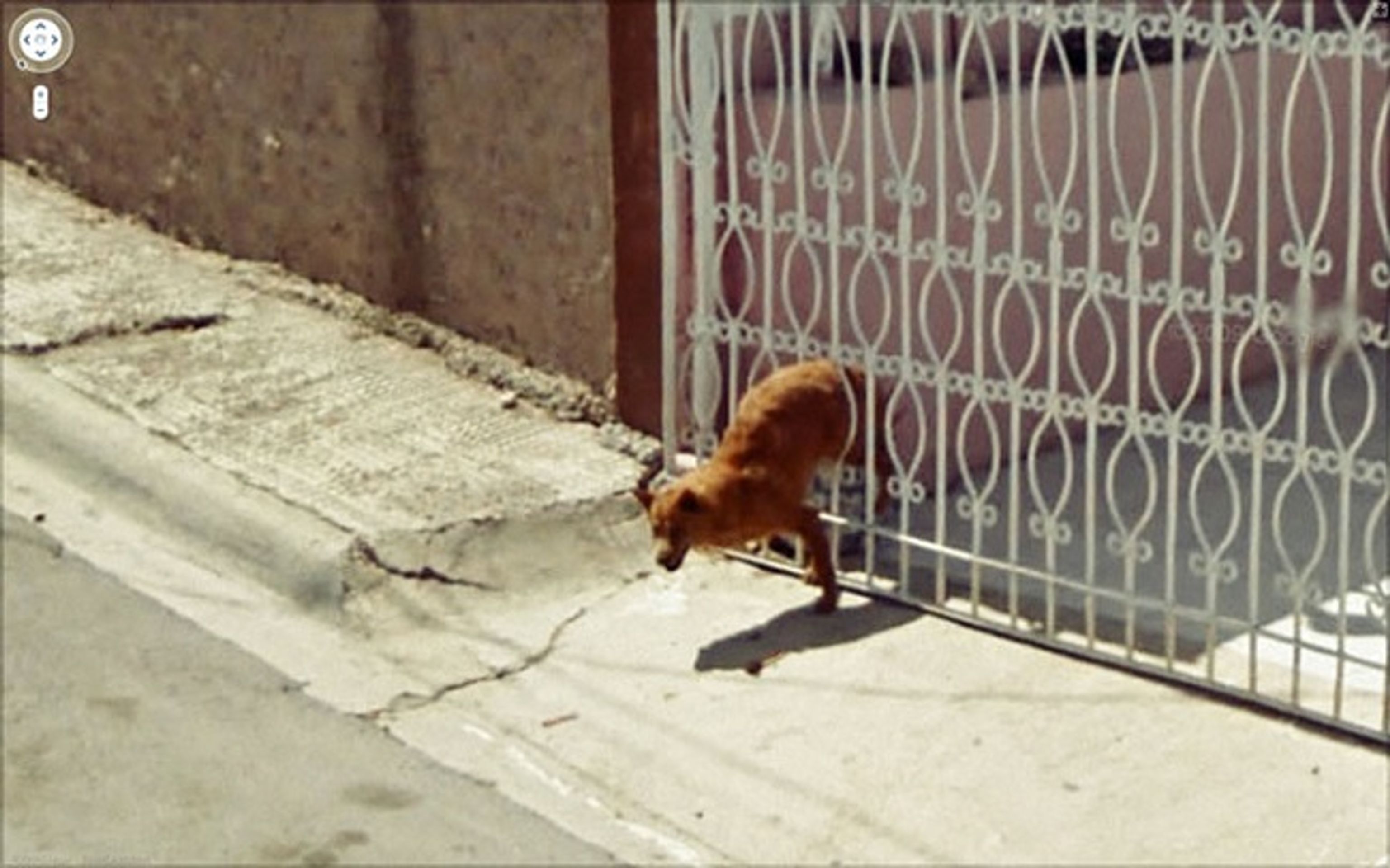 Na Stree View lze najít ledacos - Zajímavosti na Street view (32/47)