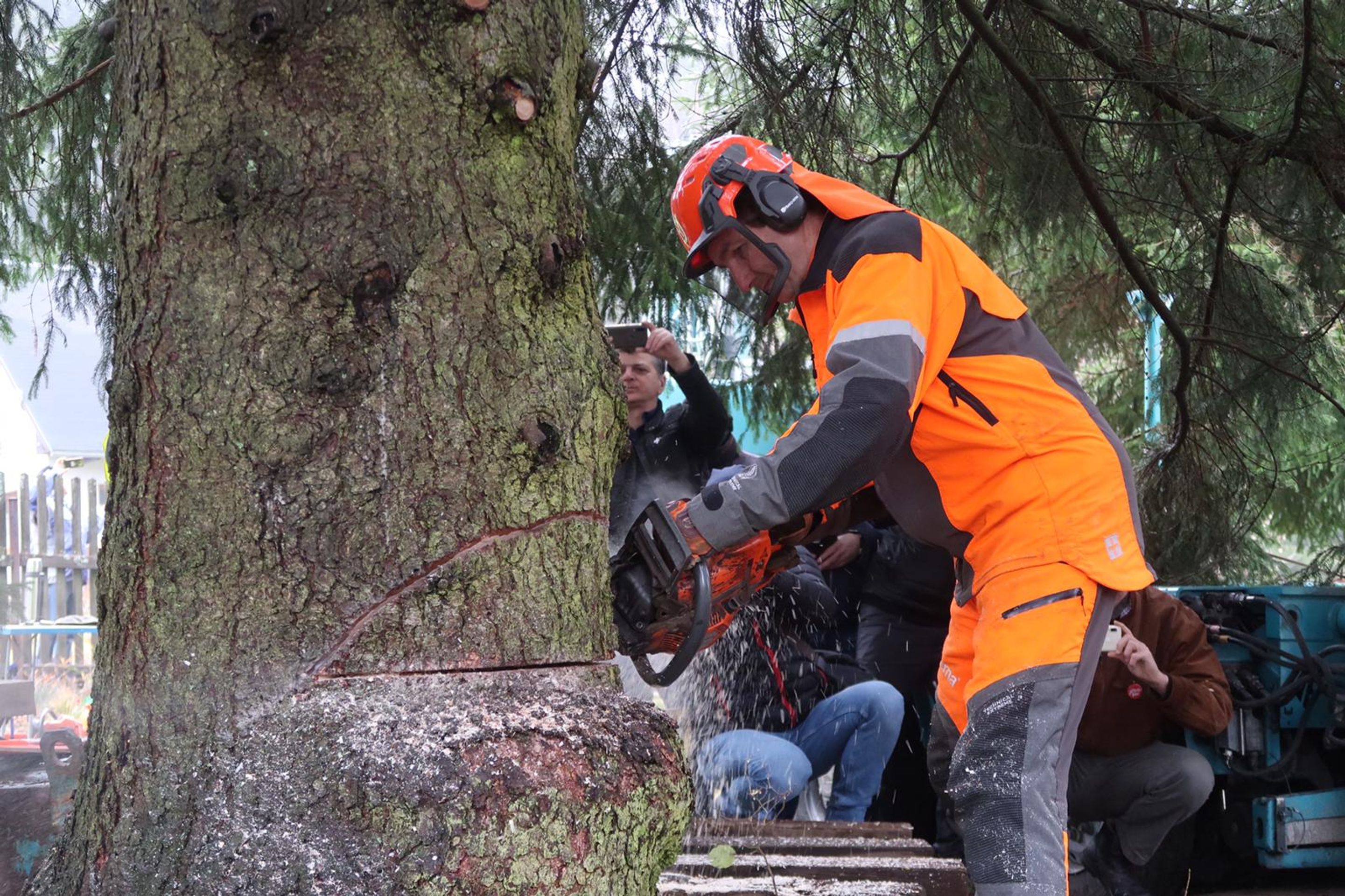 Kácení vánočního stromu pro Prahu - Kácení vánočního stromu pro Prahu (6/7)
