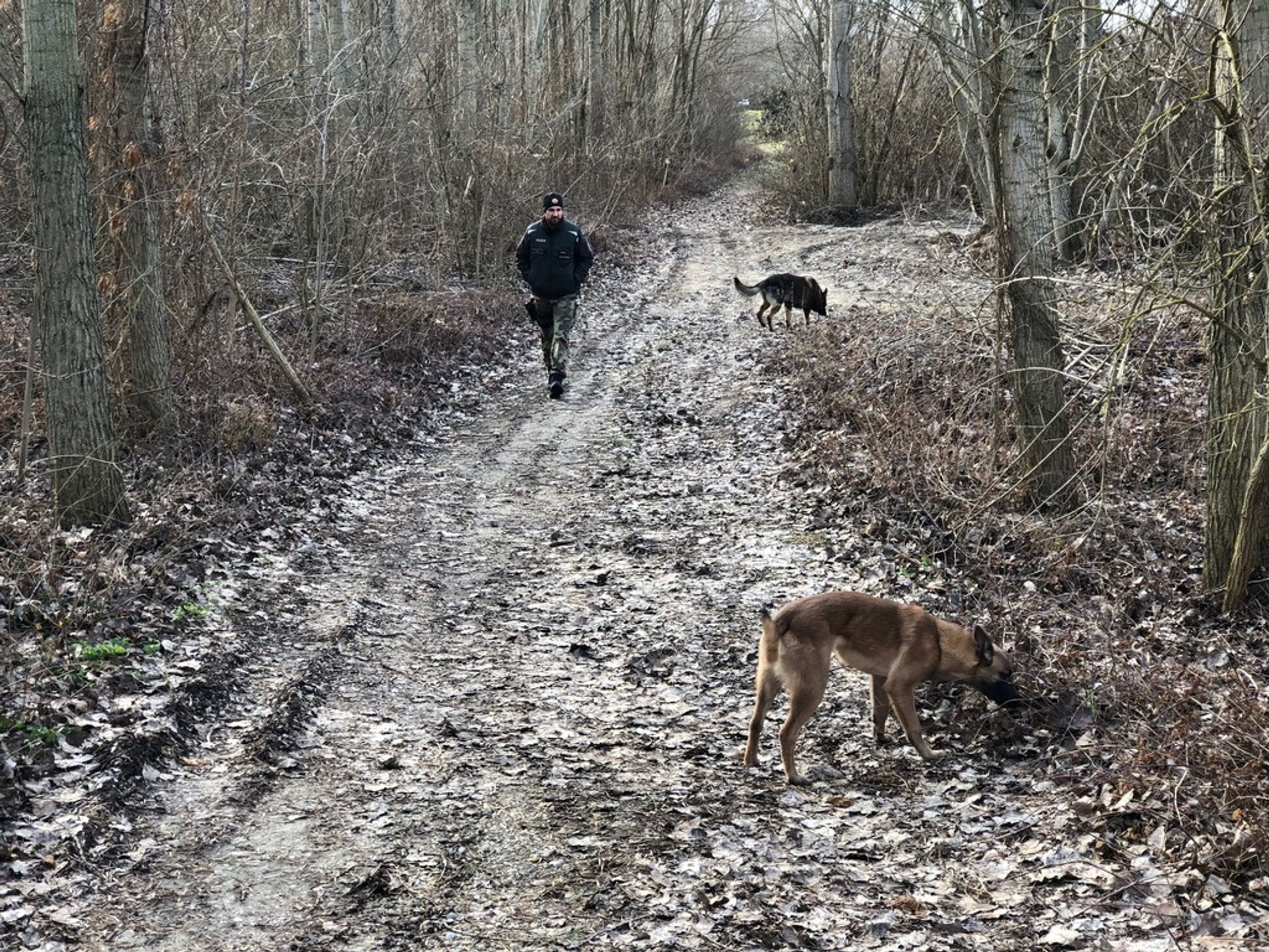 Pátrání po pohřešované ženě - GALERIE: Žena nechala doma miminko a zmizela. Hledá ji vrtulník (1/4)