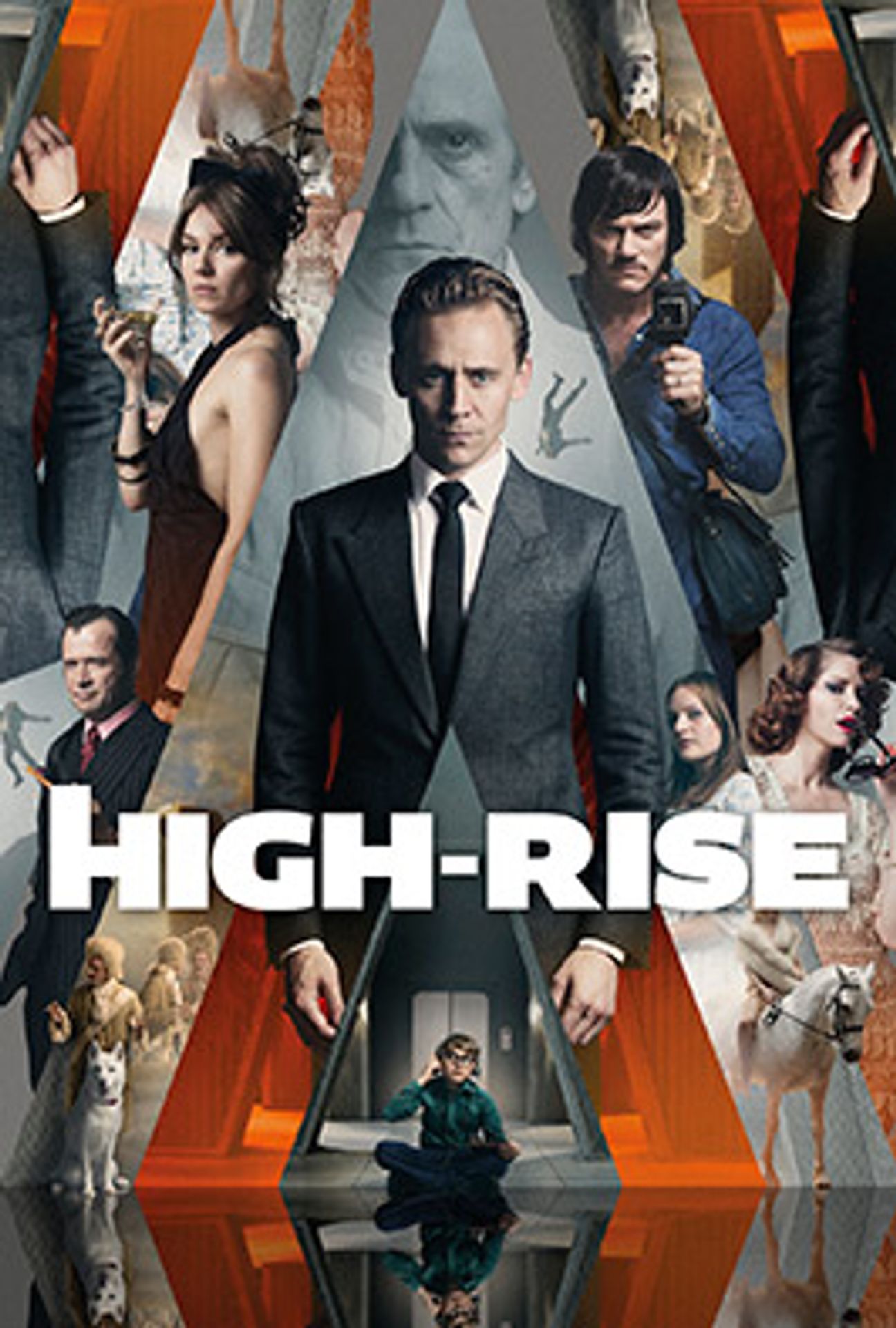 high rise - GALERIE: Slavný kocour Colonel Meow (6/31)