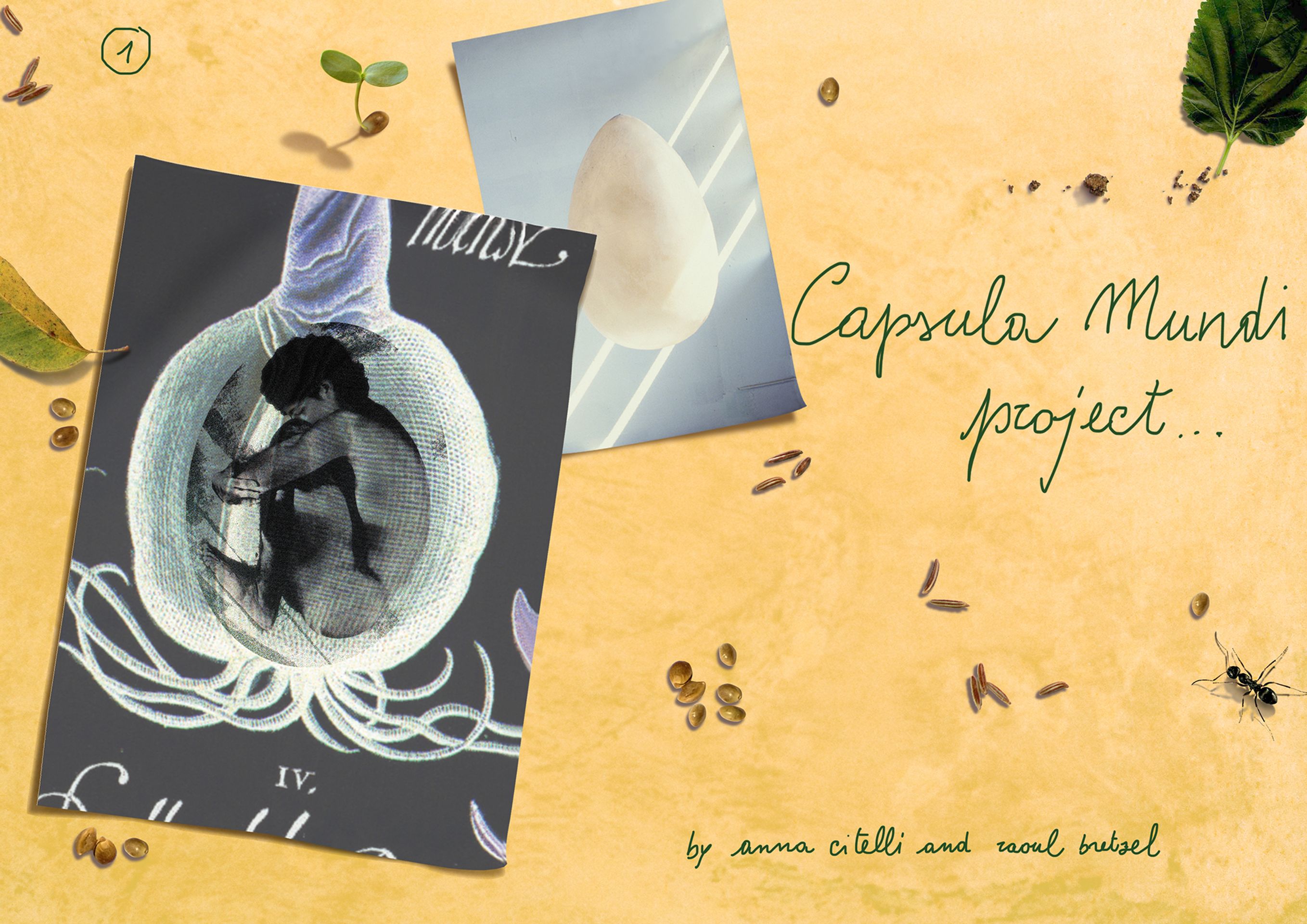Capsula Mundi - 5 - GALERIE: Capsula Mundi (4/15)