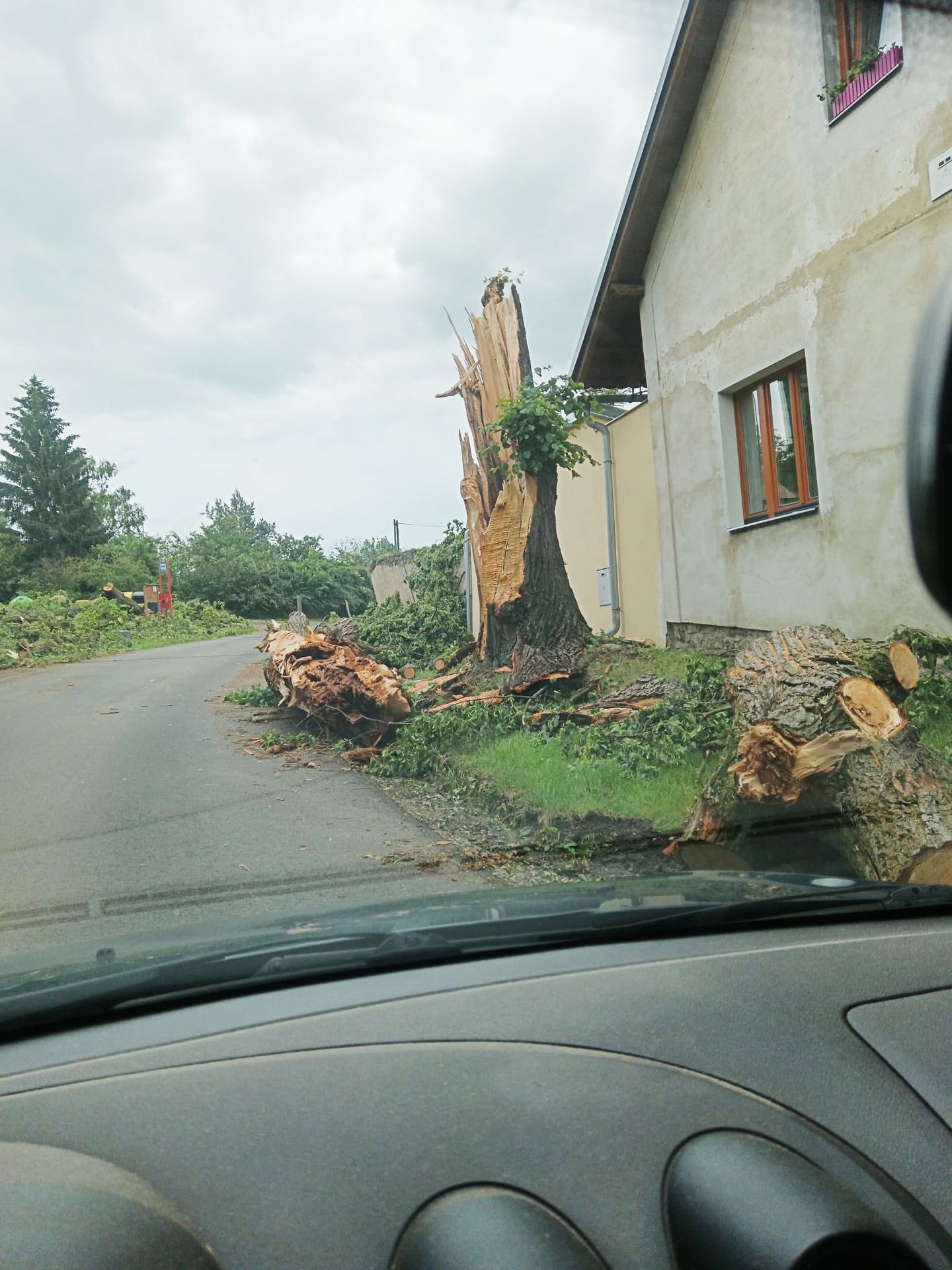 Sedlčany se vzpamatovávají z vichřice (28) - Sedlčany se vzpamatovávají z vichřice (9/38)