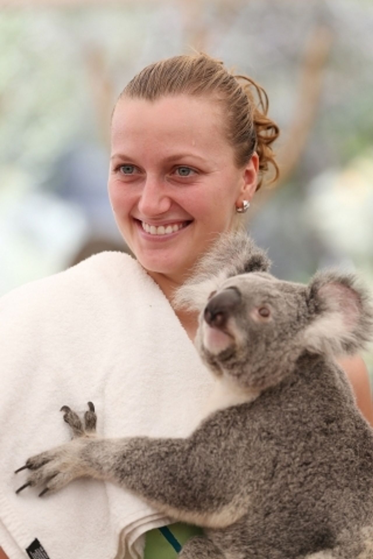 Petra Kvitová a koala - 8 - GALERIE: Petra Kvitová a koala (3/8)