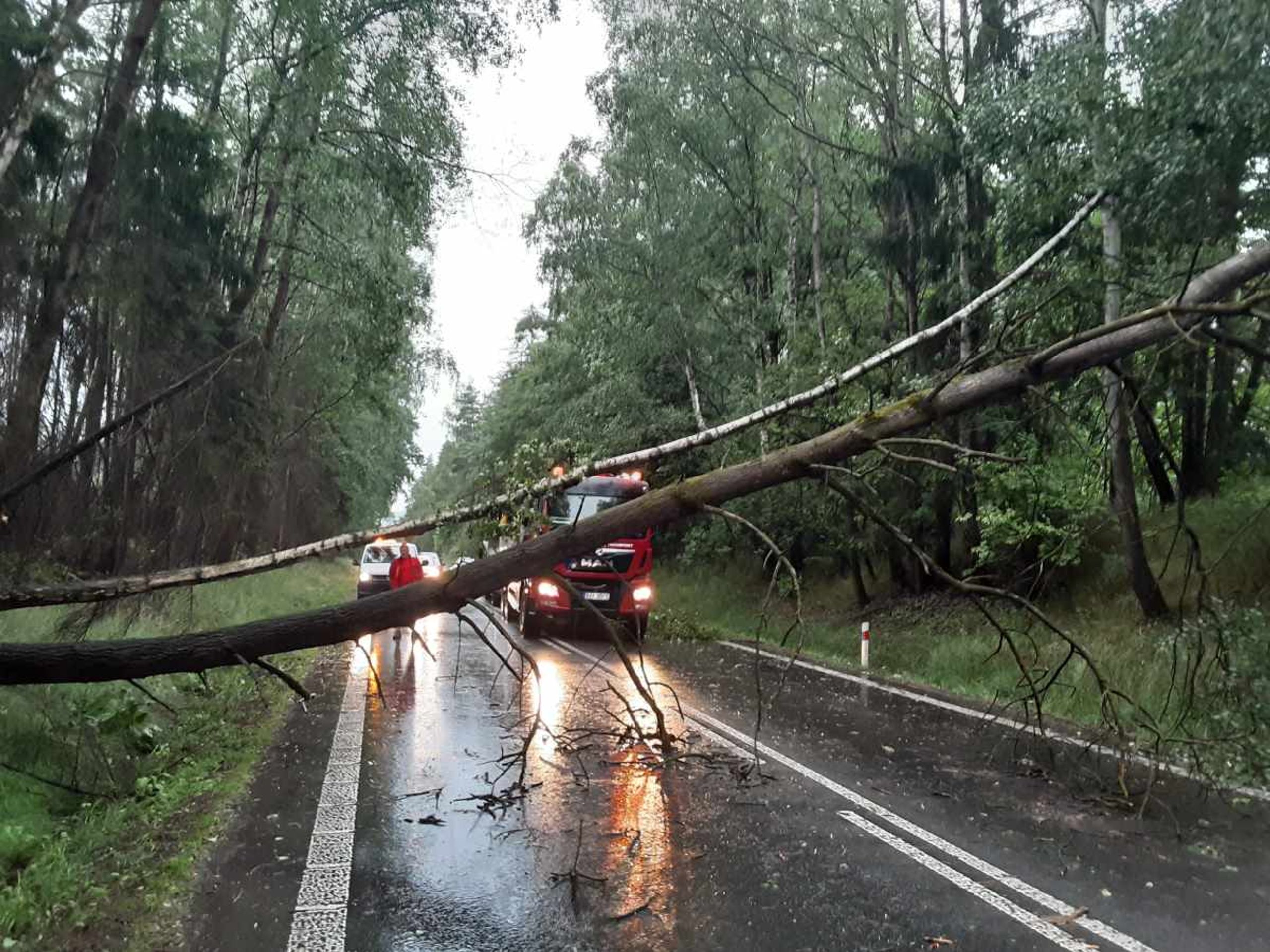 Bouřky na Vysočině - Následky bouřky a silného větru (1/21)