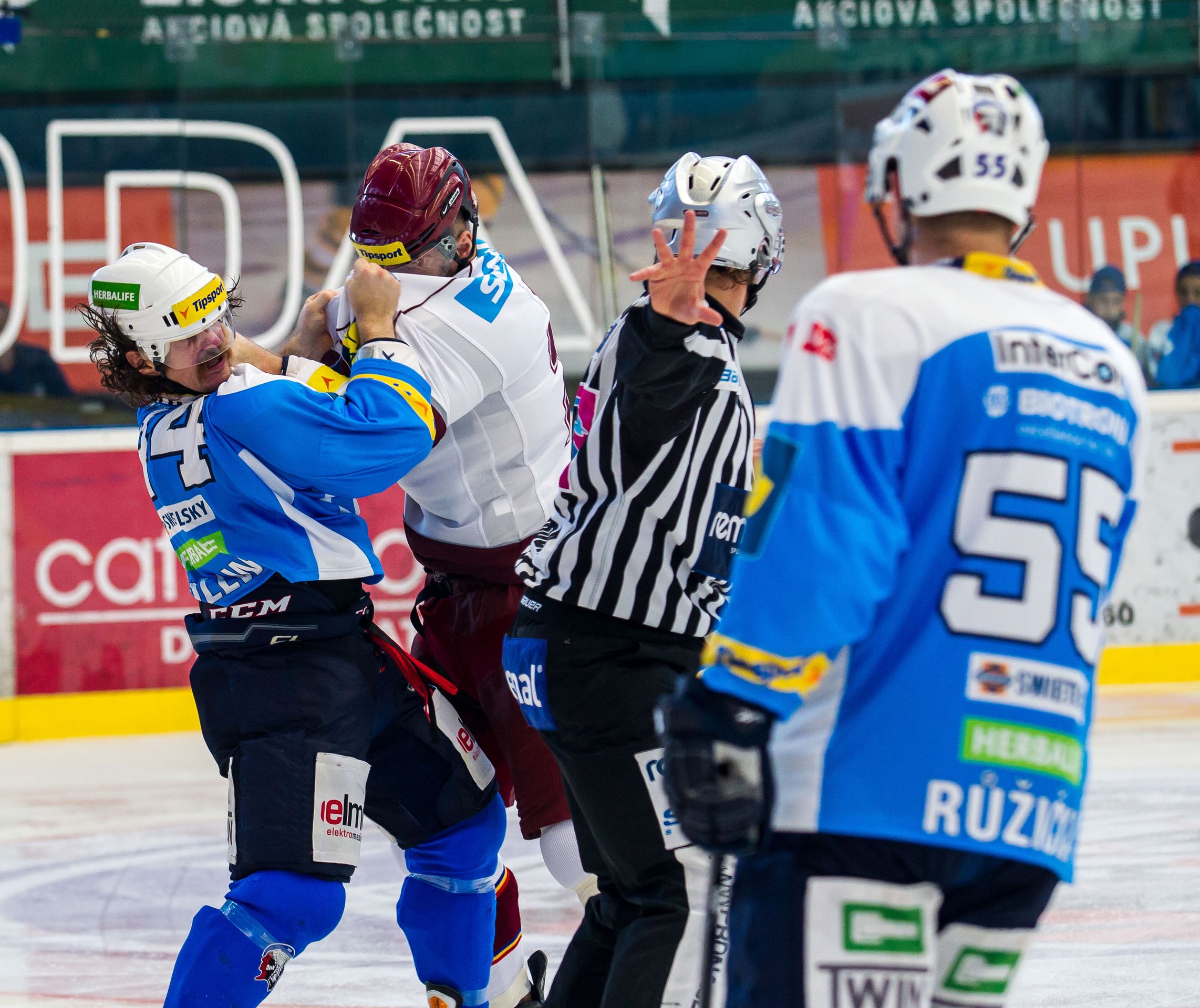 David Kočí vs. Ryan Hollweg, bitka z NHL v extralize - 5 - GALERIE: David Kočí vs. Ryan Hollweg (3/7)
