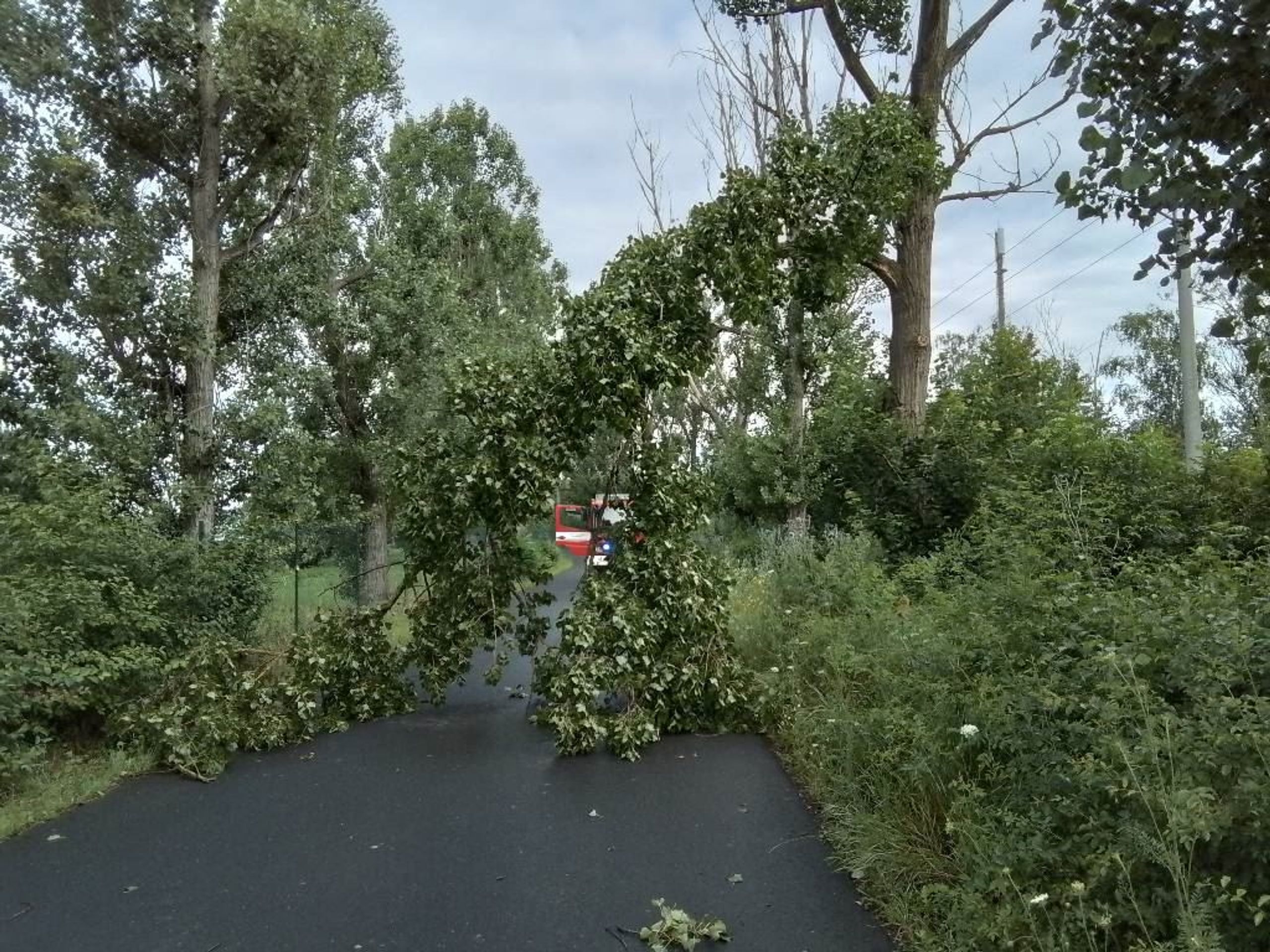 Následky sobotních bouřek - Následky sobotních bouřek (2/5)