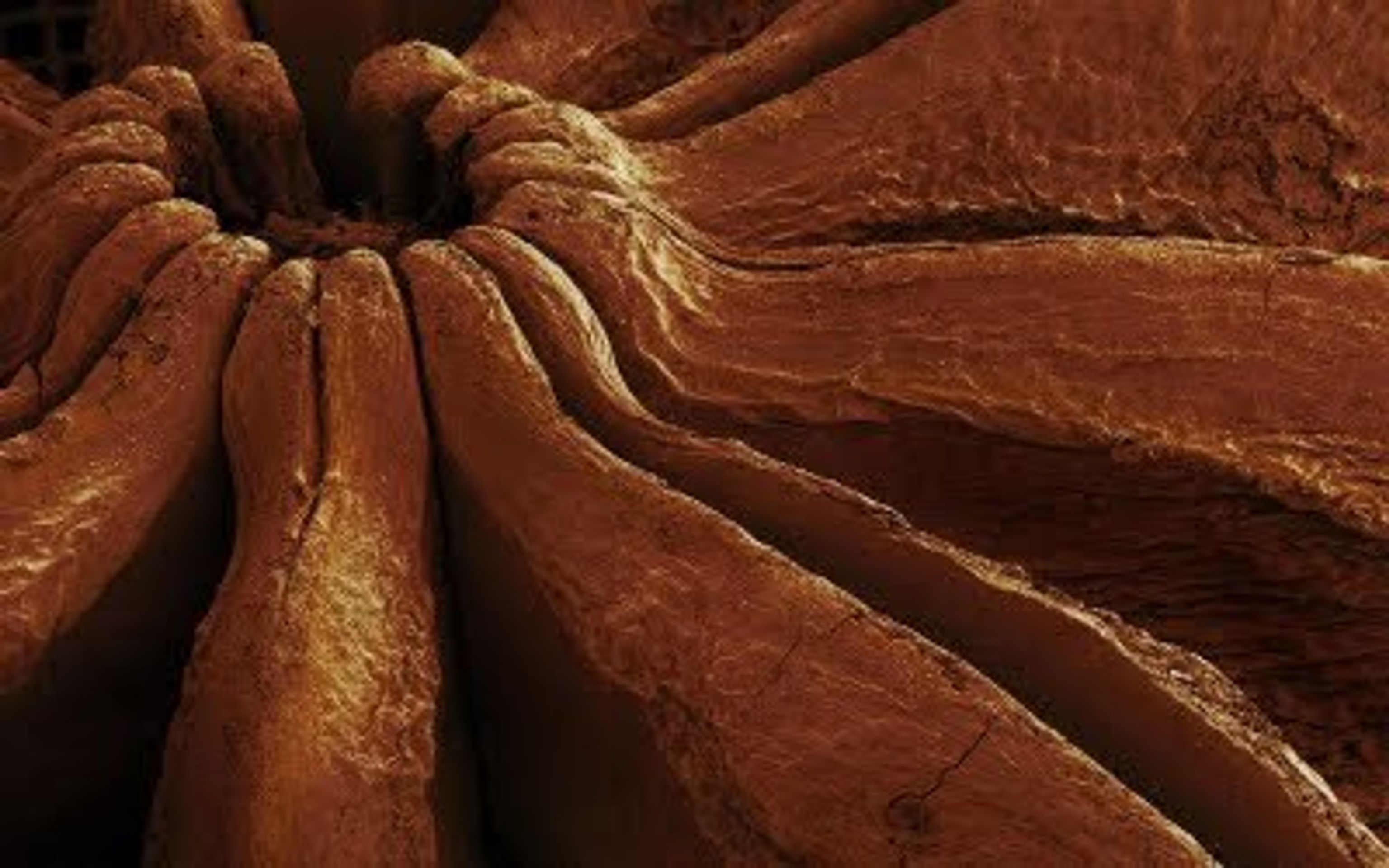 Obrázky z elektromikroskopu - 19 - GALERIE: Obrázky z elektromikroskopu (5/23)