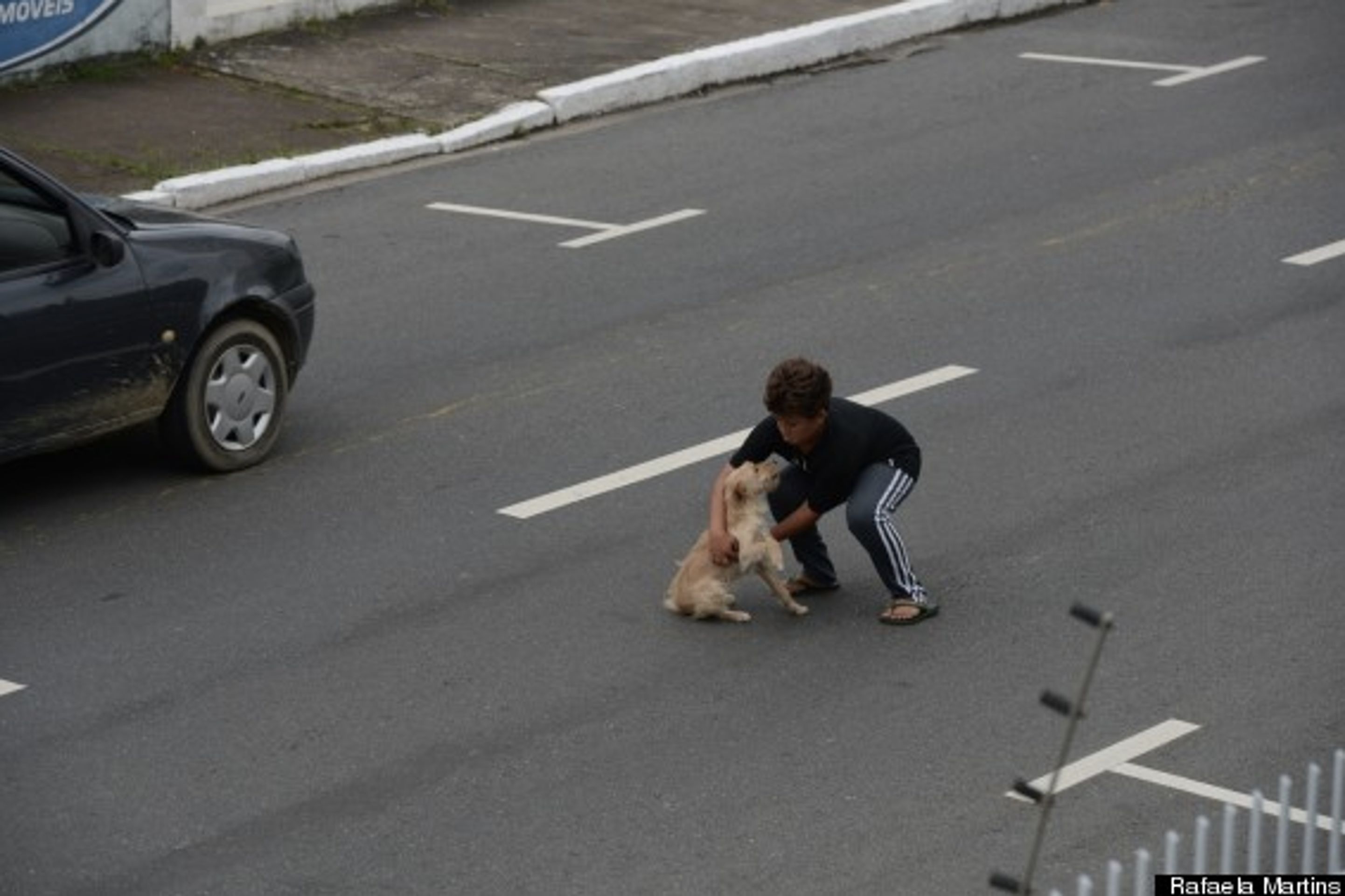 Chlapec zachránil zraněného pejska ze silnice - GALERIE: Chlapec zachránil zraněného psa ze silnice (2/3)