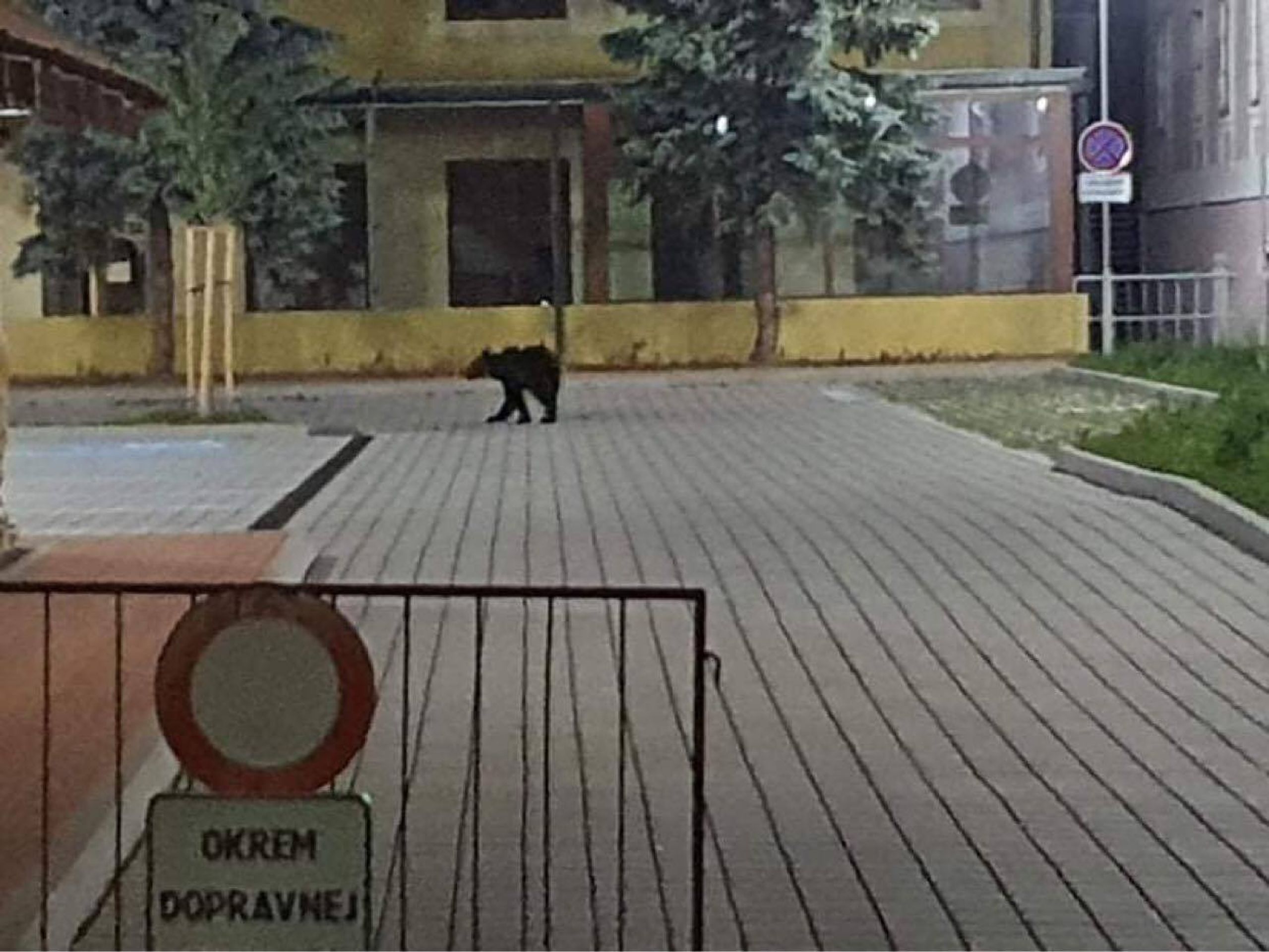 Ulicemi slovenského města se procházel medvěd - 3 - GALERIE: Ulicemi slovenského města se procházel medvěd (1/3)